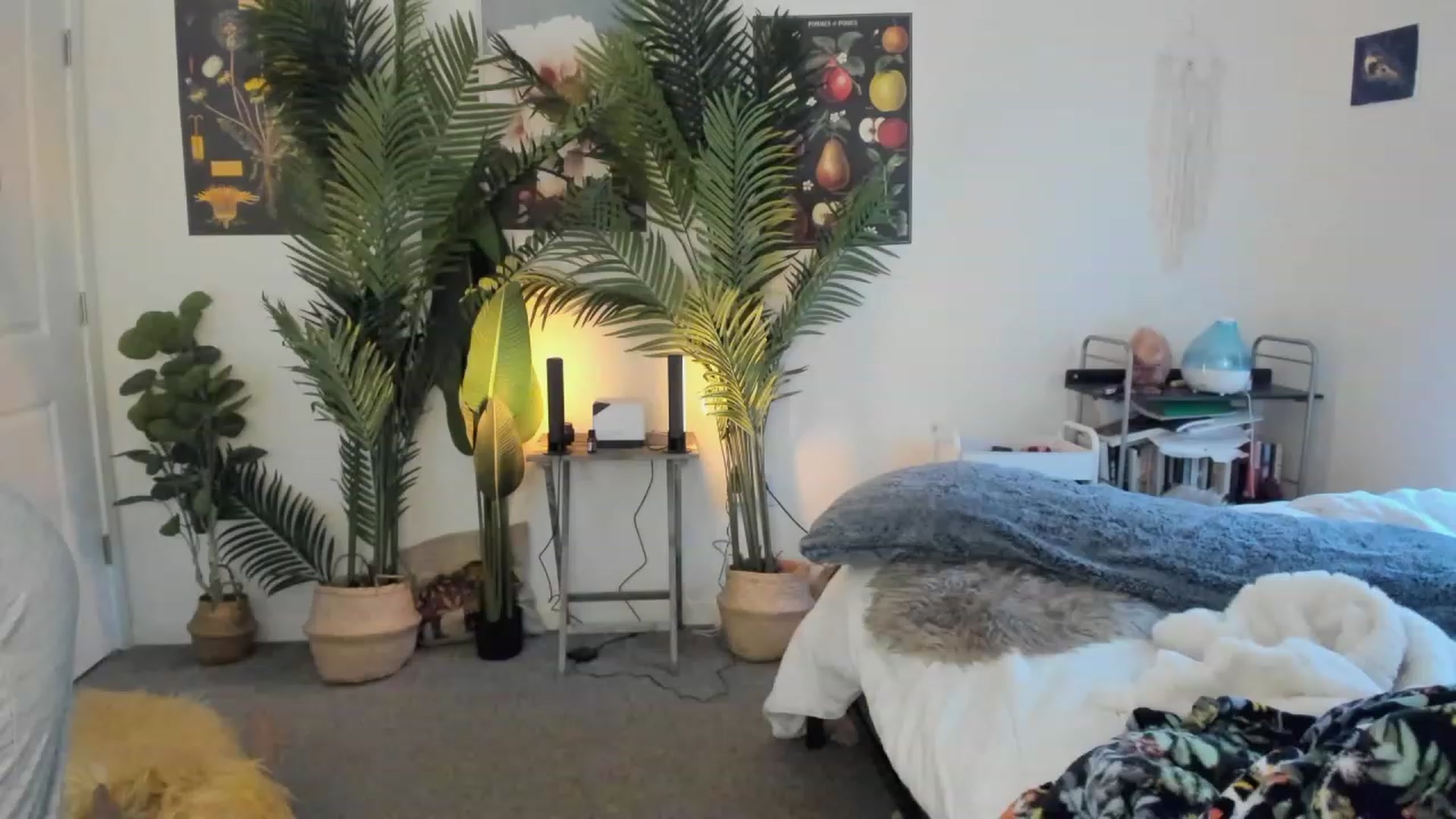 Gallery image thumbnail from Scarlett_Vera's myfreecams stream on, 06/10/2023, 04:06 image 2 of 20