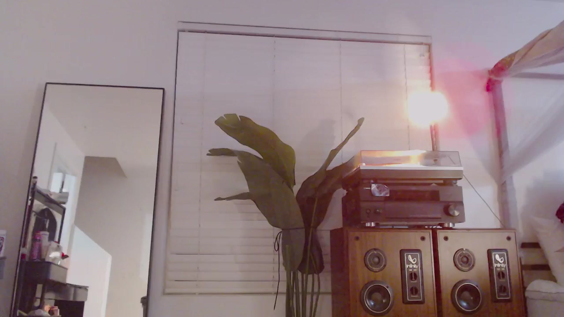 Gallery image thumbnail from Scarlett_Vera's myfreecams stream on, 02/21/2024, 02:27 image 17 of 20