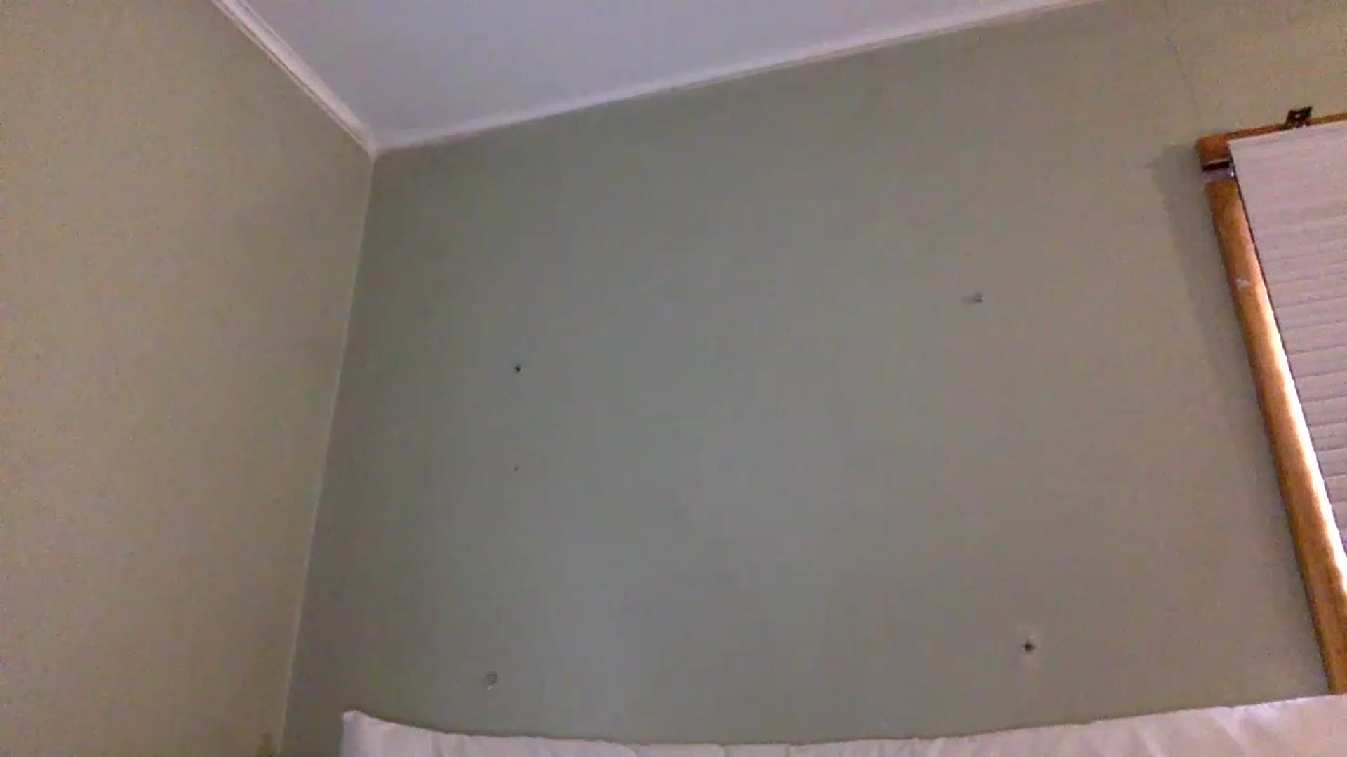 Gallery image thumbnail from Scarlettxbabe's myfreecams stream on, 11/15/2022, 19:28 image 2 of 20