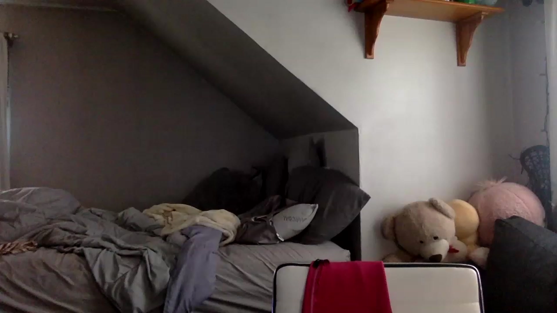 Gallery image thumbnail from Scarlettxbabe's myfreecams stream on, 06/16/2023, 15:42 image 18 of 20