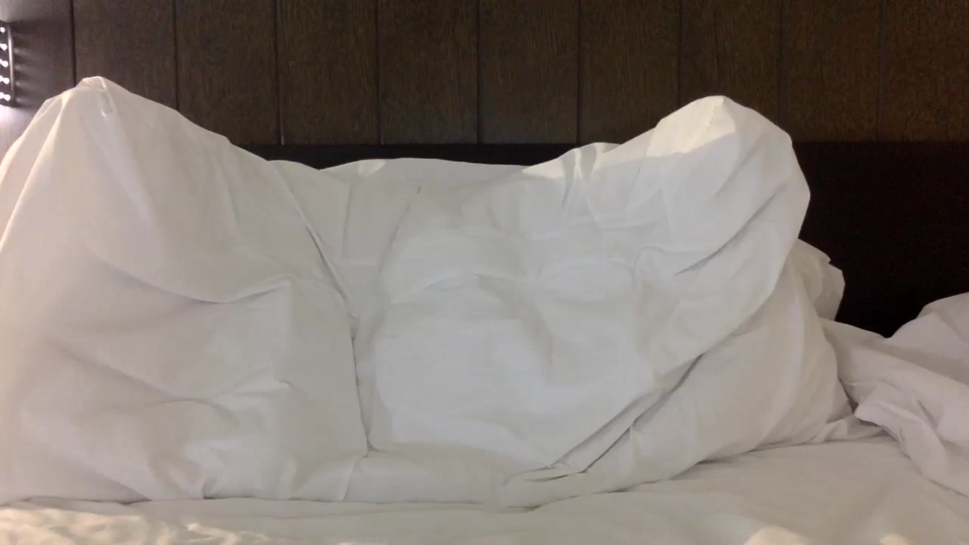 Gallery image thumbnail from Scarlettxbabe's myfreecams stream on, 11/19/2024, 20:54 image 17 of 20