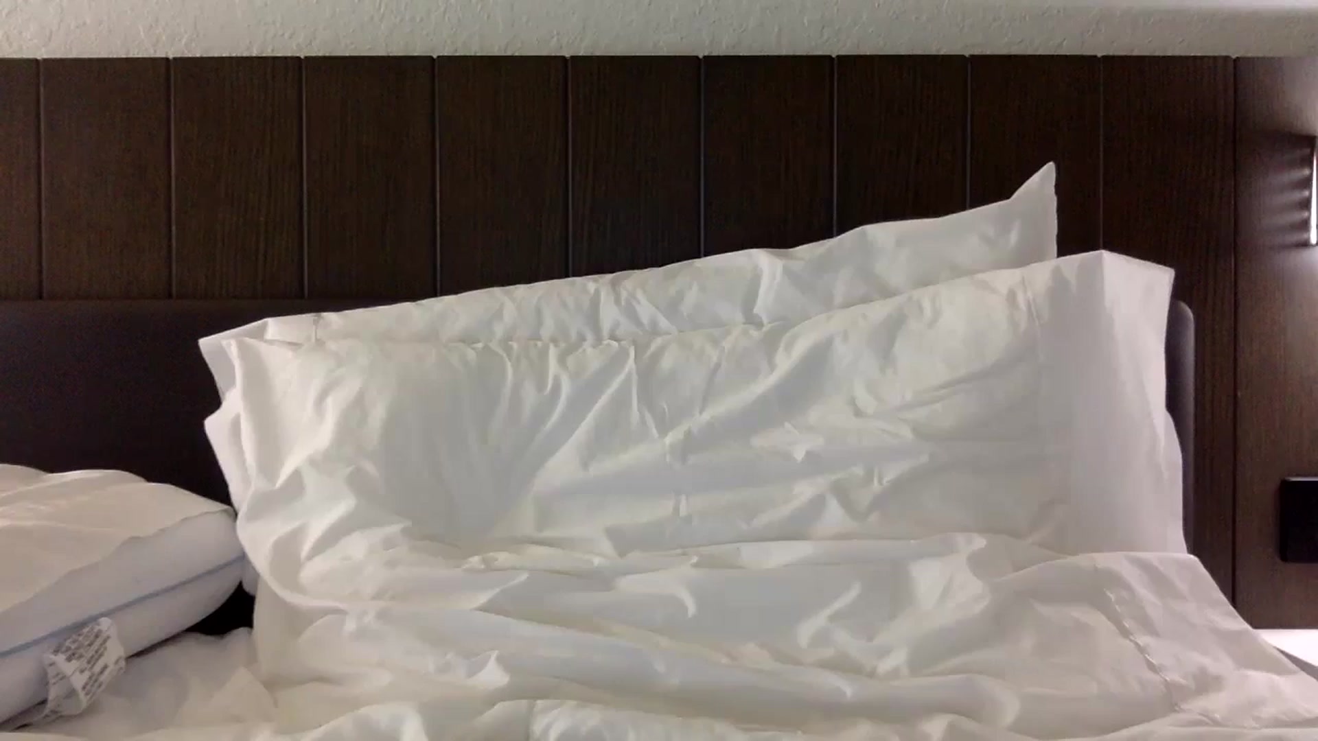 Gallery image thumbnail from Scarlettxbabe's myfreecams stream on, 11/27/2024, 18:34 image 14 of 20