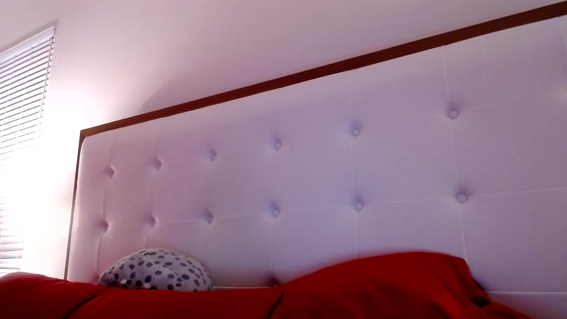 Gallery image thumbnail from Scarletyoung's myfreecams stream on, 09/23/2024, 06:16 image 6 of 20