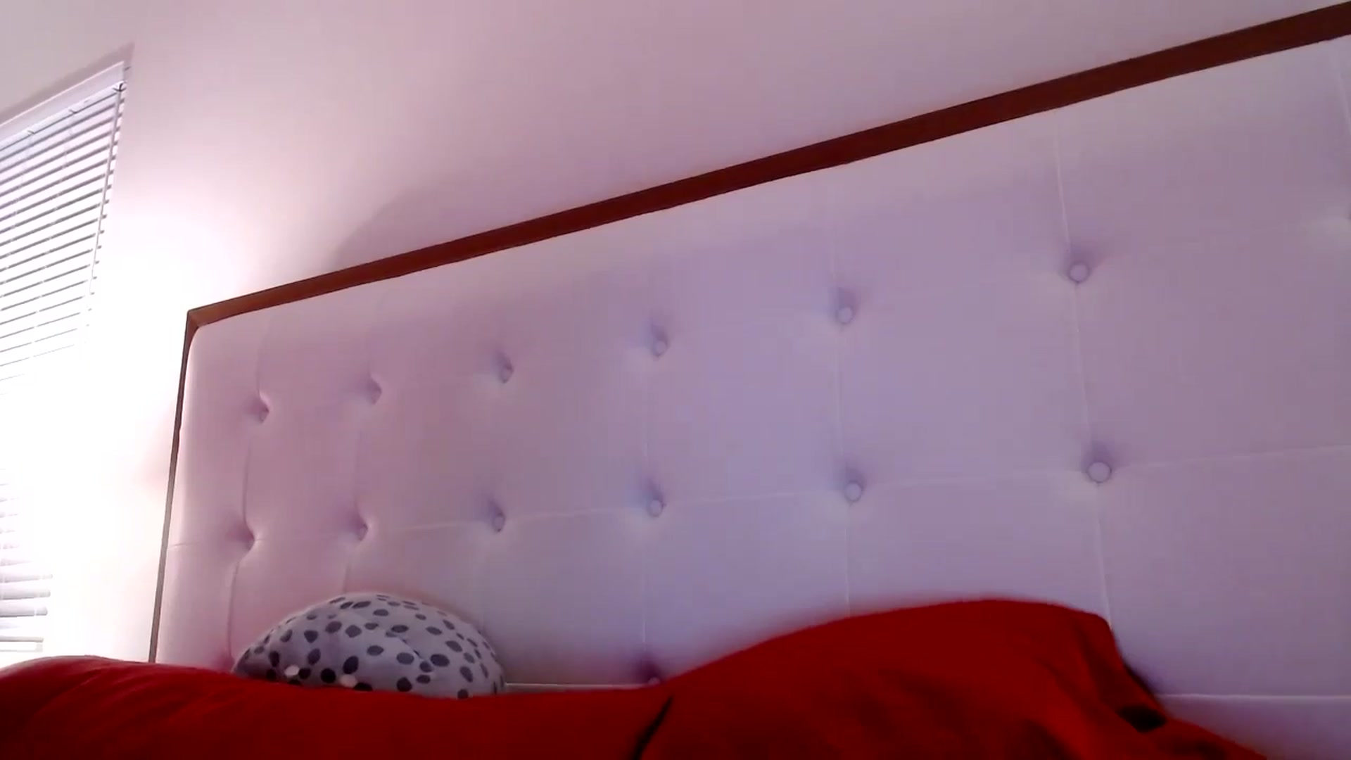 Gallery image thumbnail from Scarletyoung's myfreecams stream on, 09/23/2024, 06:16 image 3 of 20