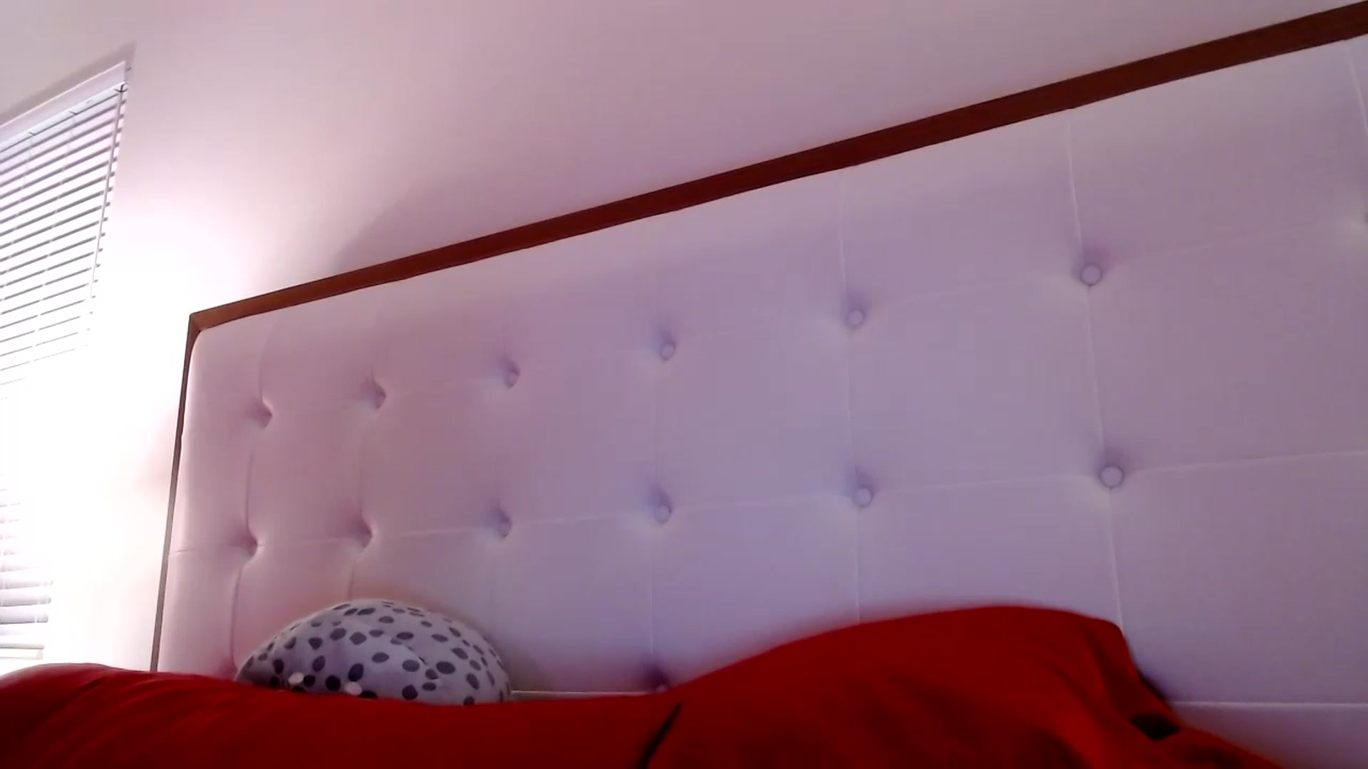 Gallery image thumbnail from Scarletyoung's myfreecams stream on, 09/23/2024, 06:16 image 2 of 20
