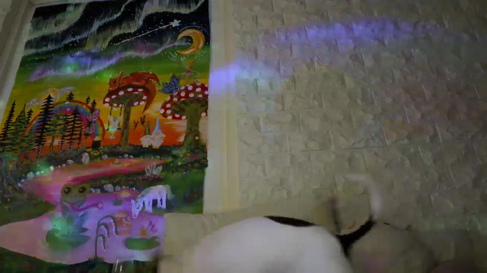 Gallery image thumbnail from Scarletyoung's myfreecams stream on, 02/08/2026, 05:38 image 8 of 20