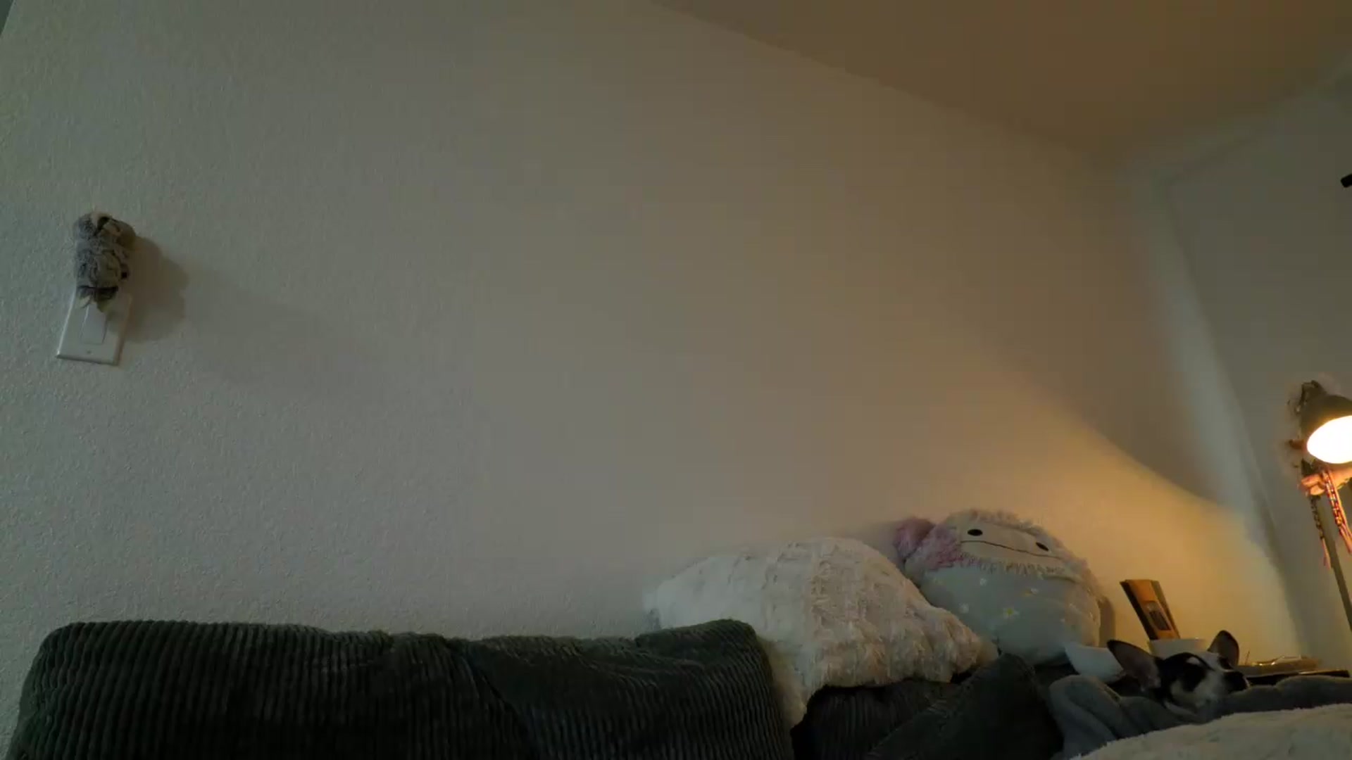 Gallery image thumbnail from Scarletyoung's myfreecams stream on, 08/05/2026, 13:48 image 19 of 20