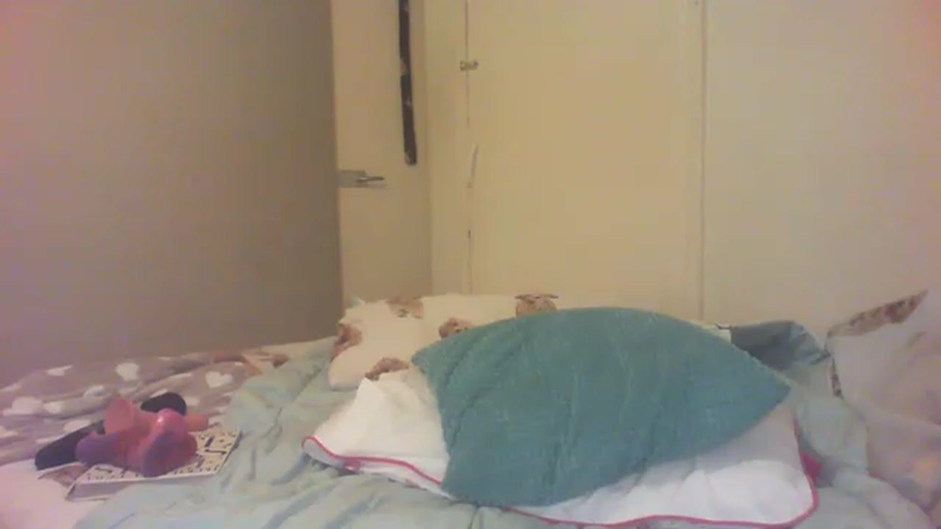 Gallery image thumbnail from Scottish_Tina's myfreecams stream on, 12/04/2022, 16:51 image 13 of 20
