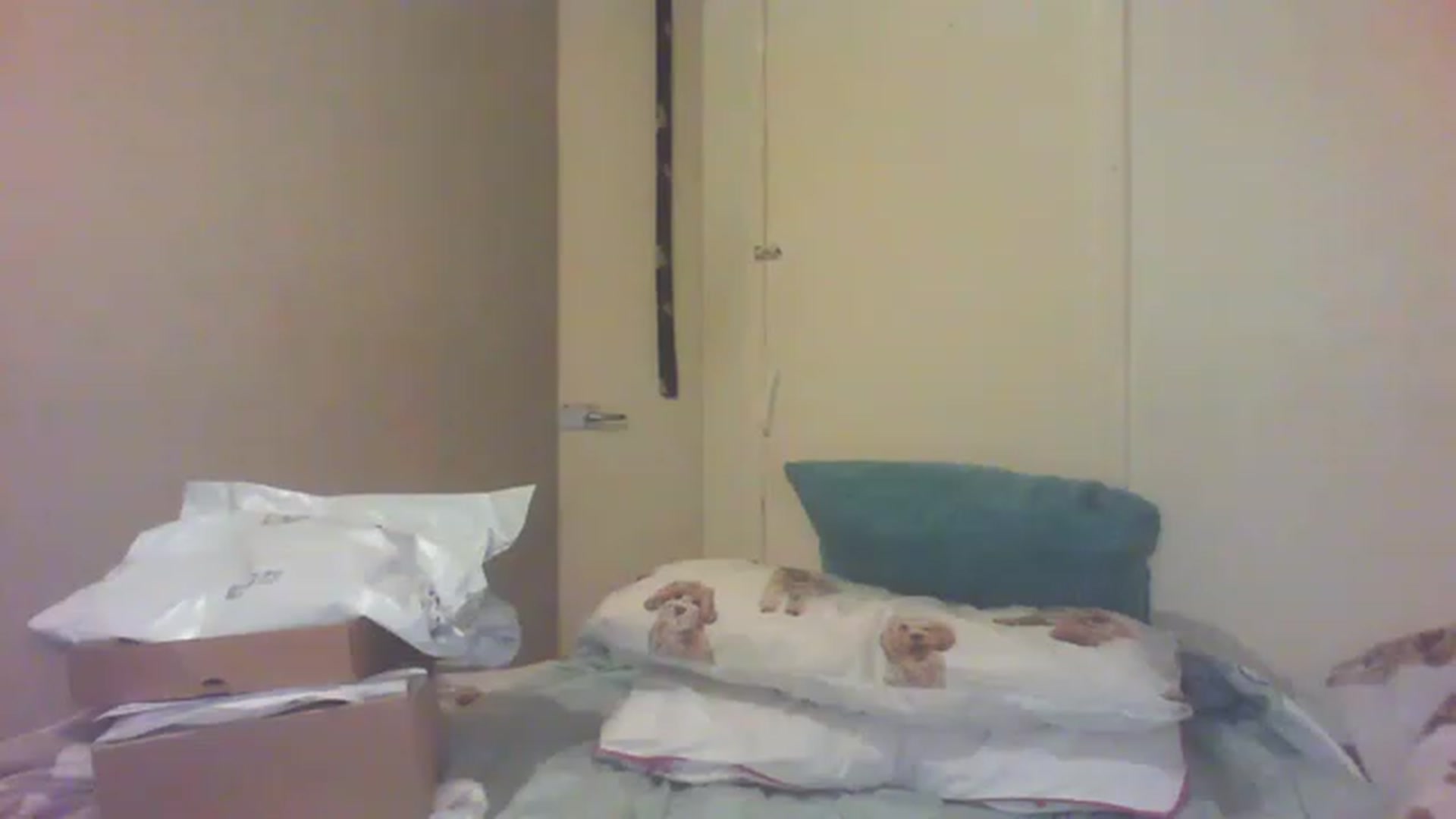 Gallery image thumbnail from Scottish_Tina's myfreecams stream on, 12/04/2022, 18:13 image 9 of 20