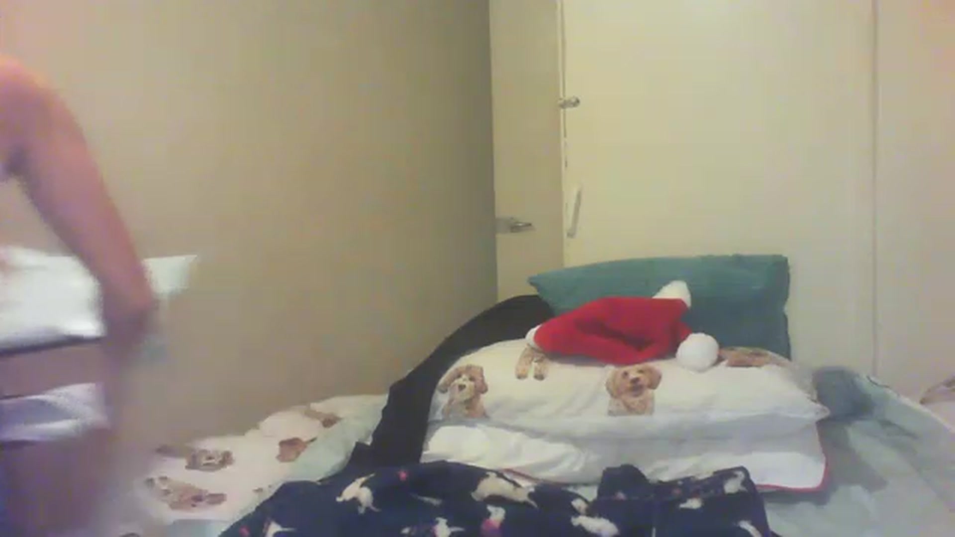 Gallery image thumbnail from Scottish_Tina's myfreecams stream on, 12/04/2022, 18:13 image 20 of 20