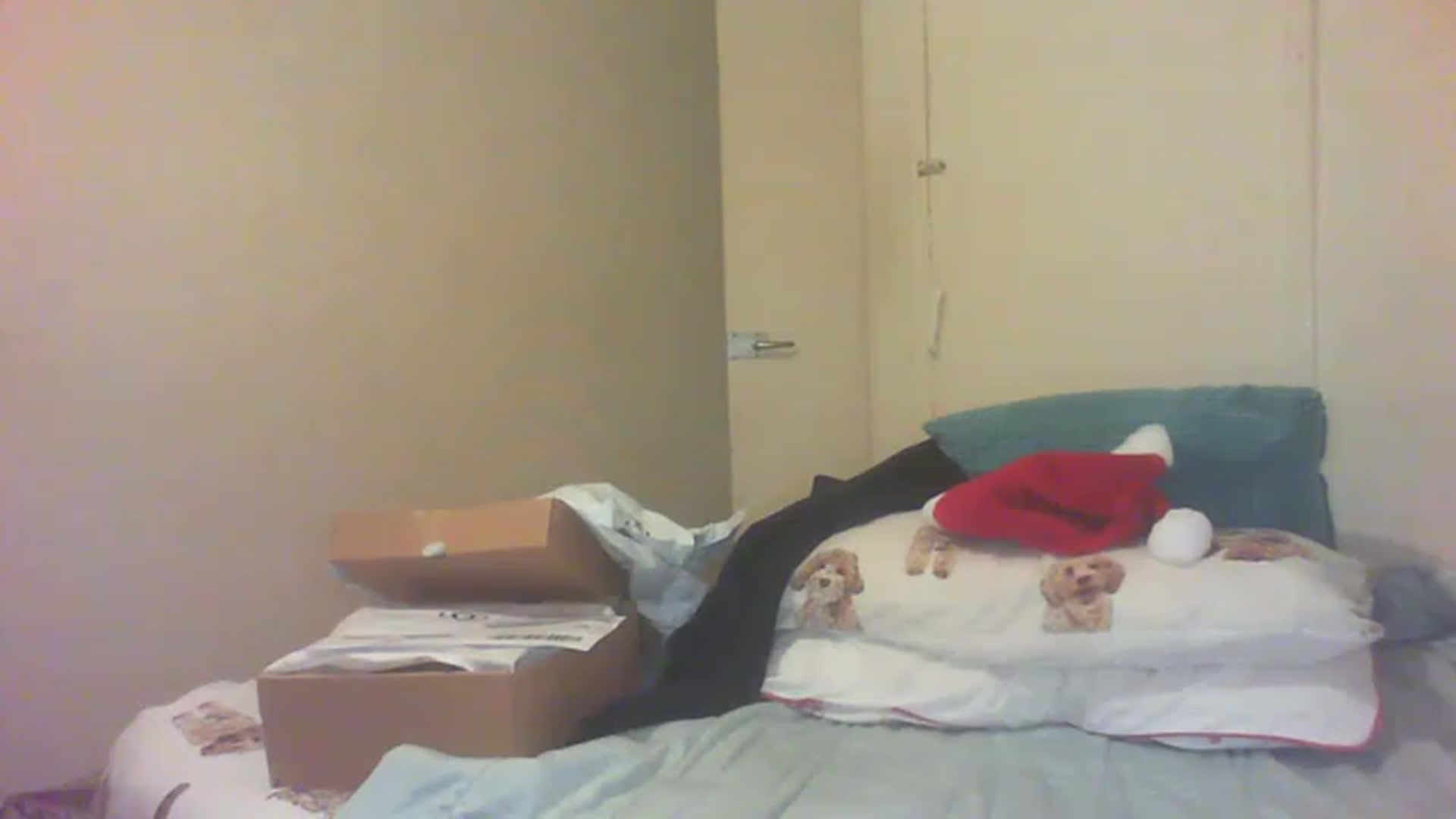 Gallery image thumbnail from Scottish_Tina's myfreecams stream on, 12/04/2022, 18:13 image 15 of 20