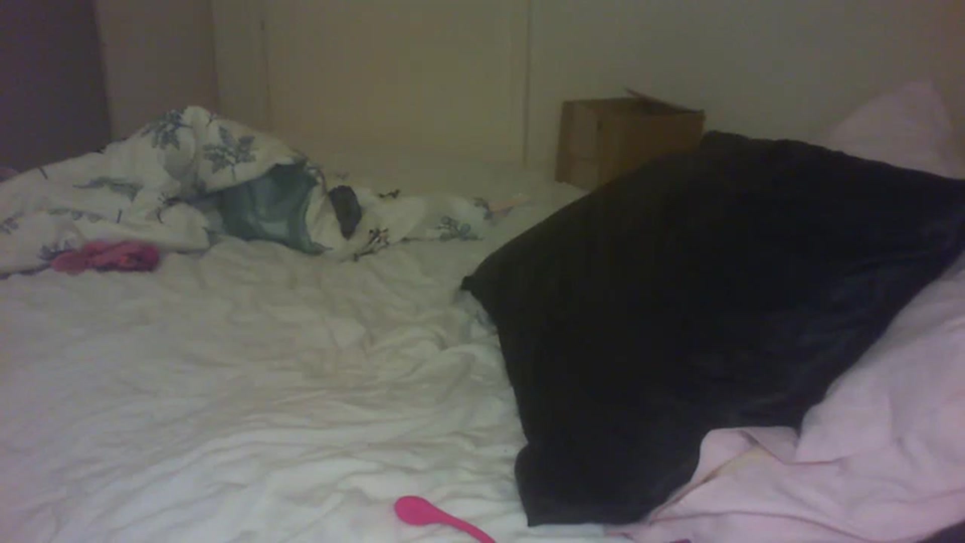 Gallery image thumbnail from Scottish_Tina's myfreecams stream on, 12/28/2022, 23:49 image 10 of 20