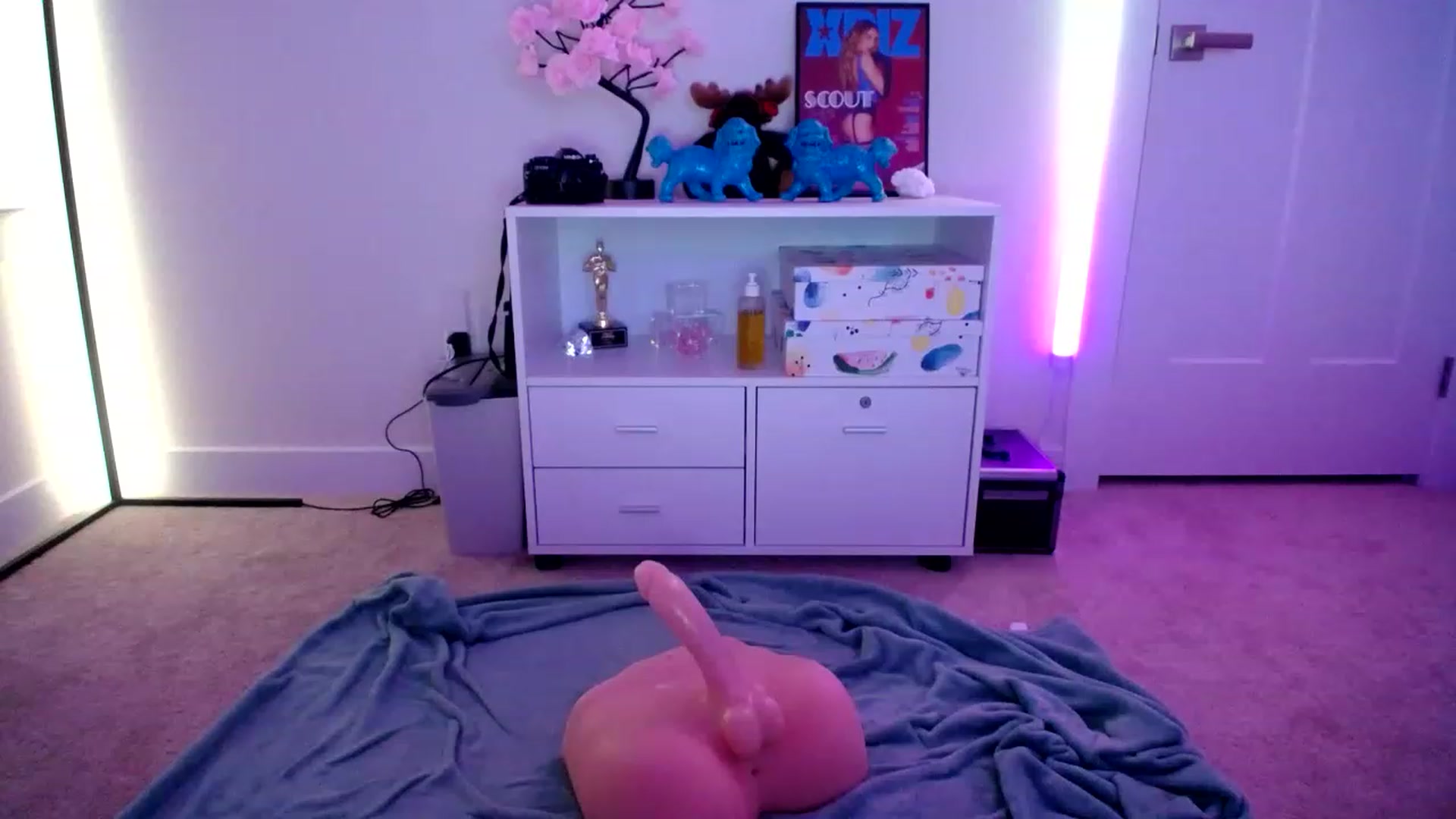 Gallery image thumbnail from Scout's myfreecams stream on, 12/15/2022, 06:41 image 20 of 20