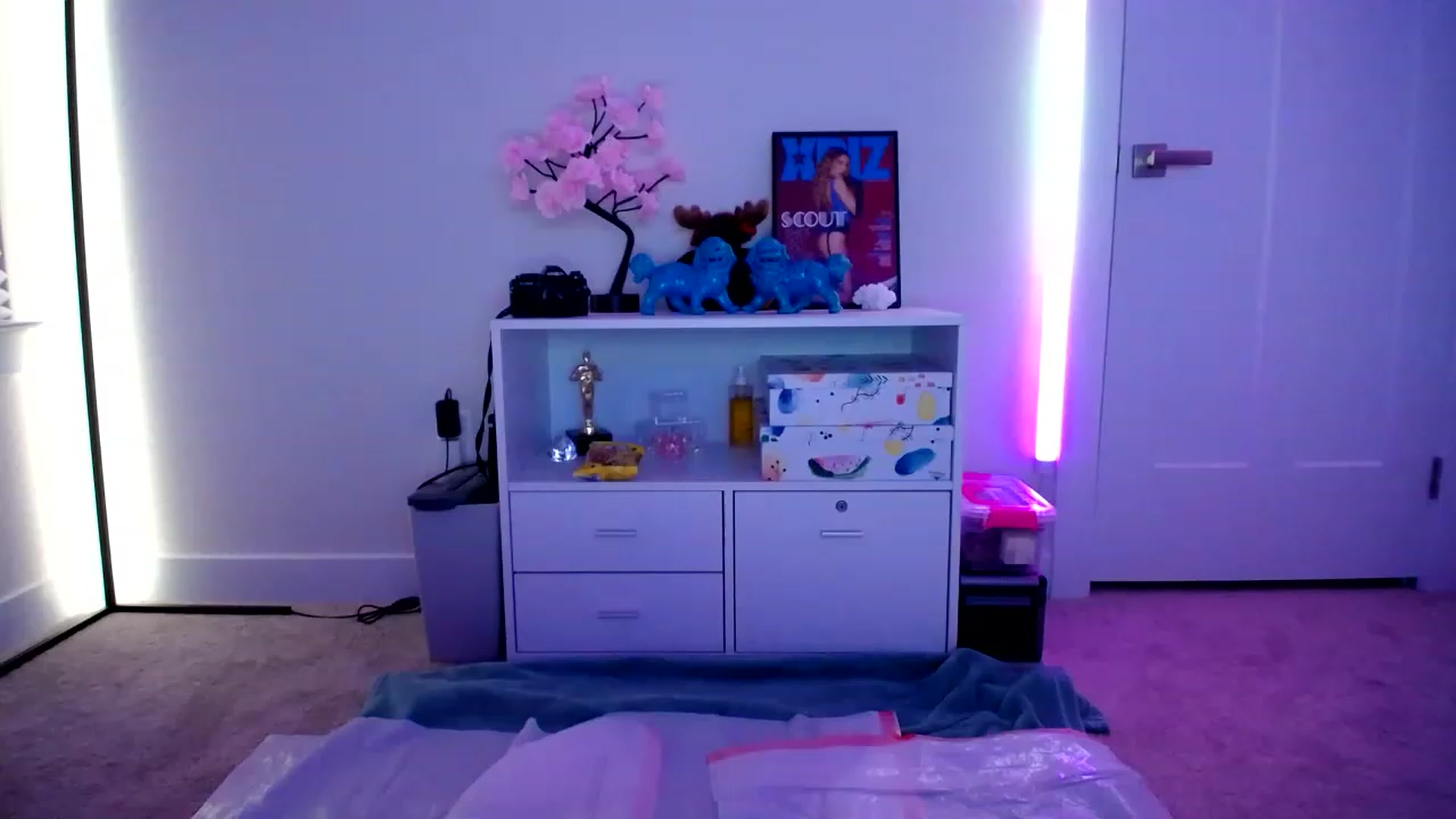 Gallery image thumbnail from Scout's myfreecams stream on, 12/31/2022, 06:18 image 15 of 20