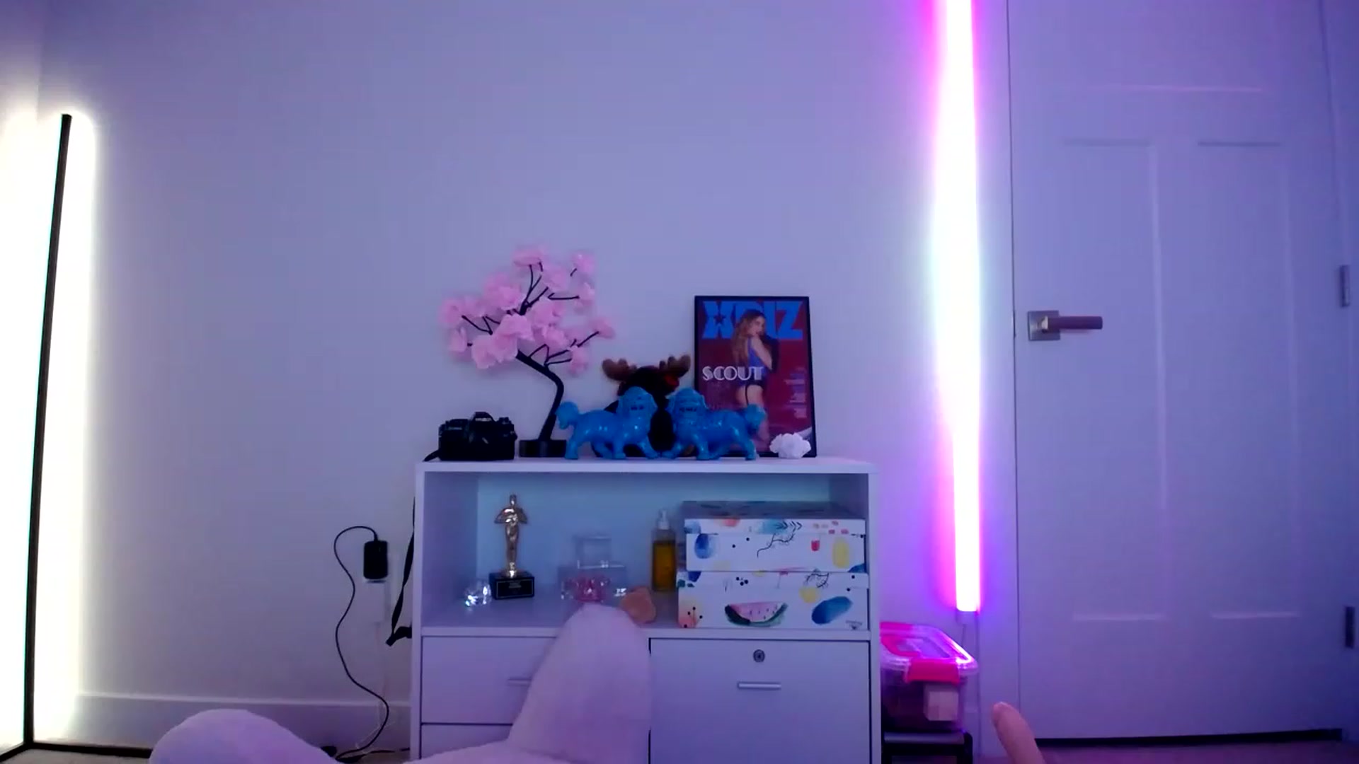 Gallery image thumbnail from Scout's myfreecams stream on, 01/05/2023, 05:42 image 12 of 20
