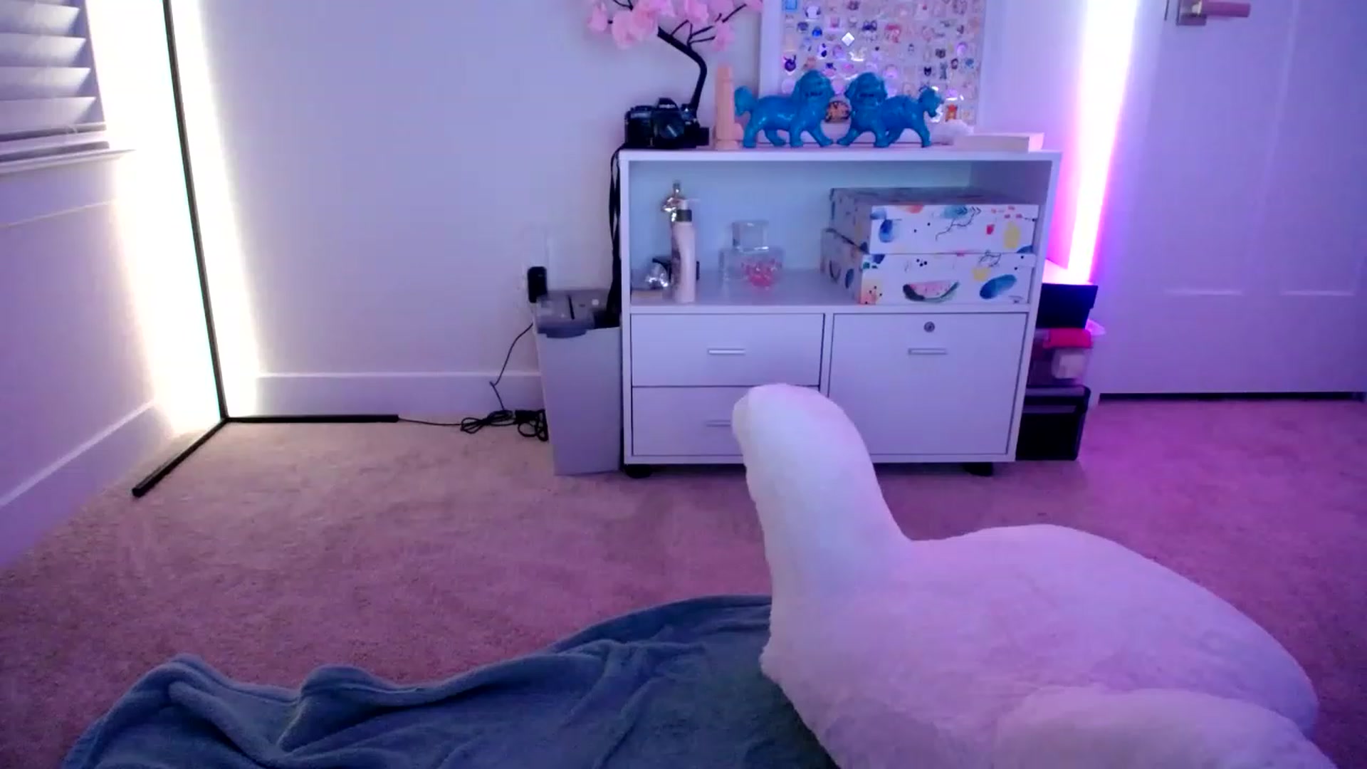 Gallery image thumbnail from Scout's myfreecams stream on, 02/02/2023, 07:07 image 13 of 20