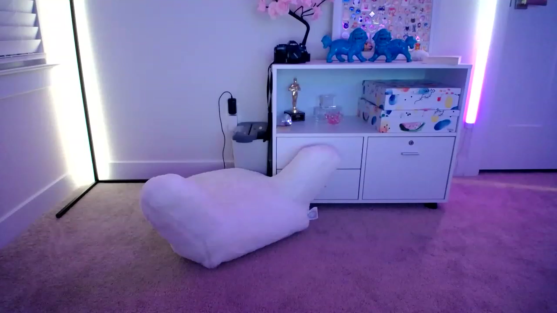 Gallery image thumbnail from Scout's myfreecams stream on, 02/08/2023, 05:17 image 5 of 20