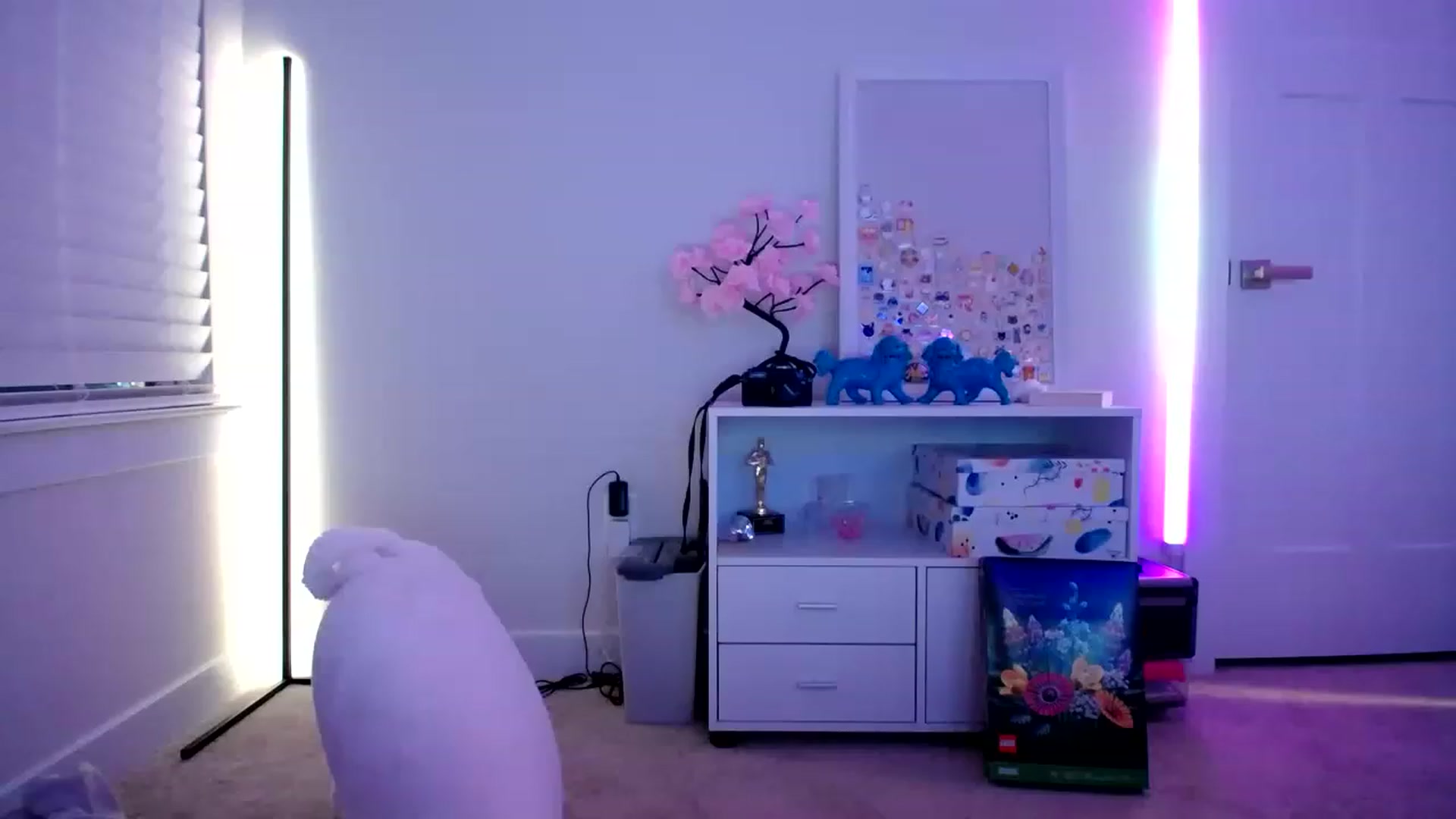 Gallery image thumbnail from Scout's myfreecams stream on, 02/15/2023, 05:57 image 10 of 20