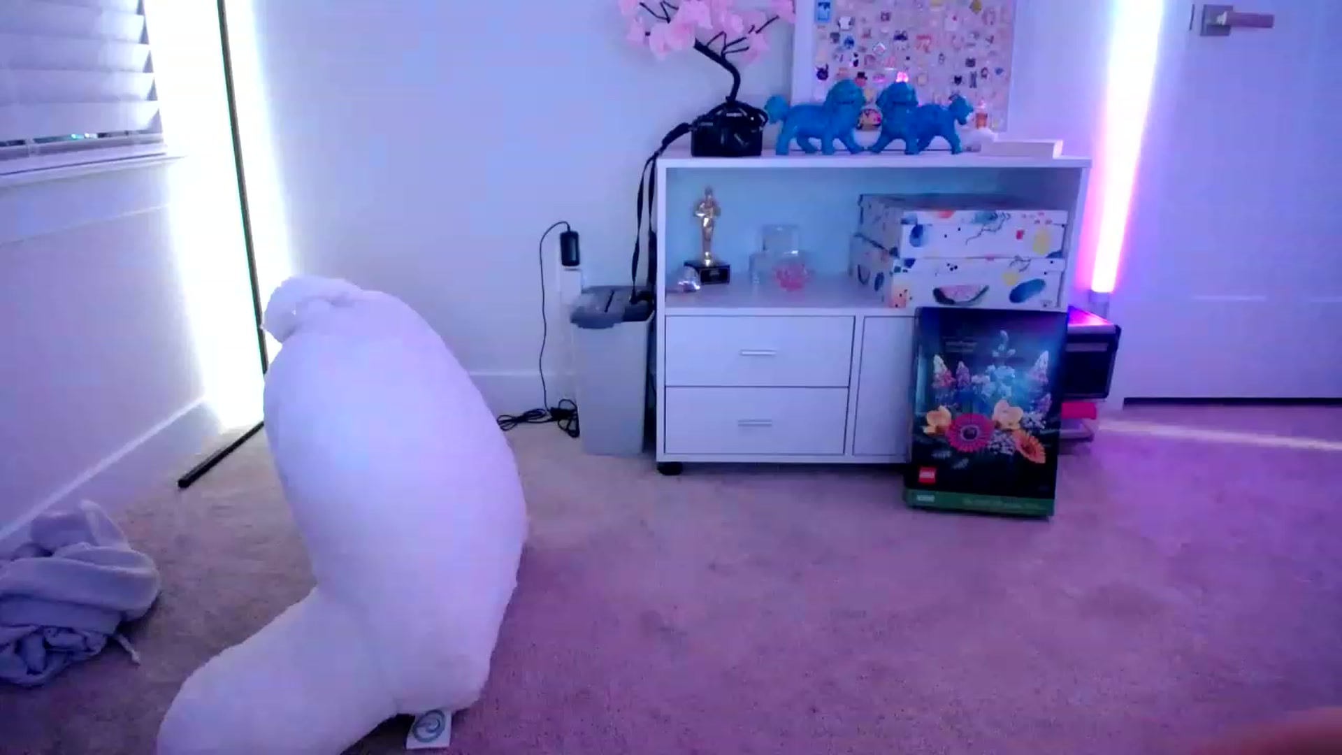 Gallery image thumbnail from Scout's myfreecams stream on, 02/15/2023, 05:57 image 12 of 20