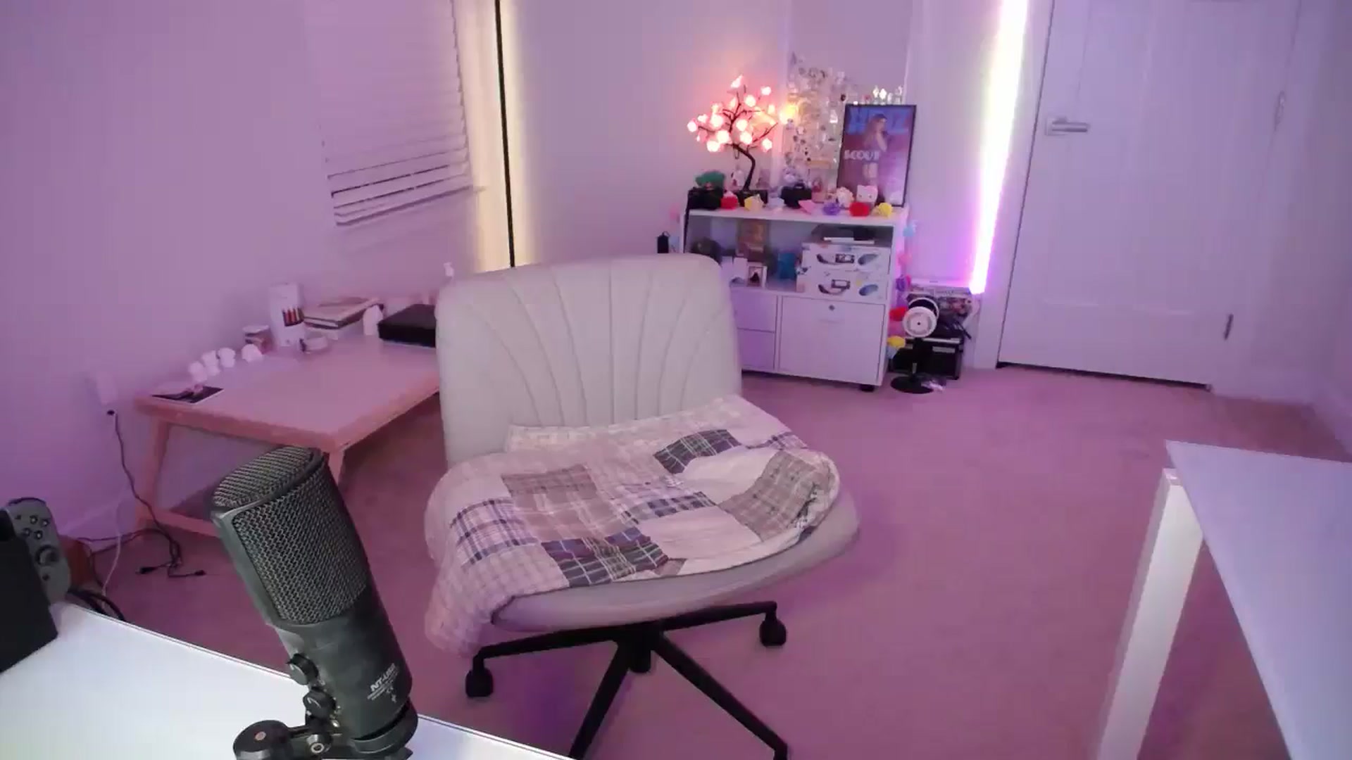 Gallery image thumbnail from Scout's myfreecams stream on, 12/13/2025, 04:04 image 19 of 20