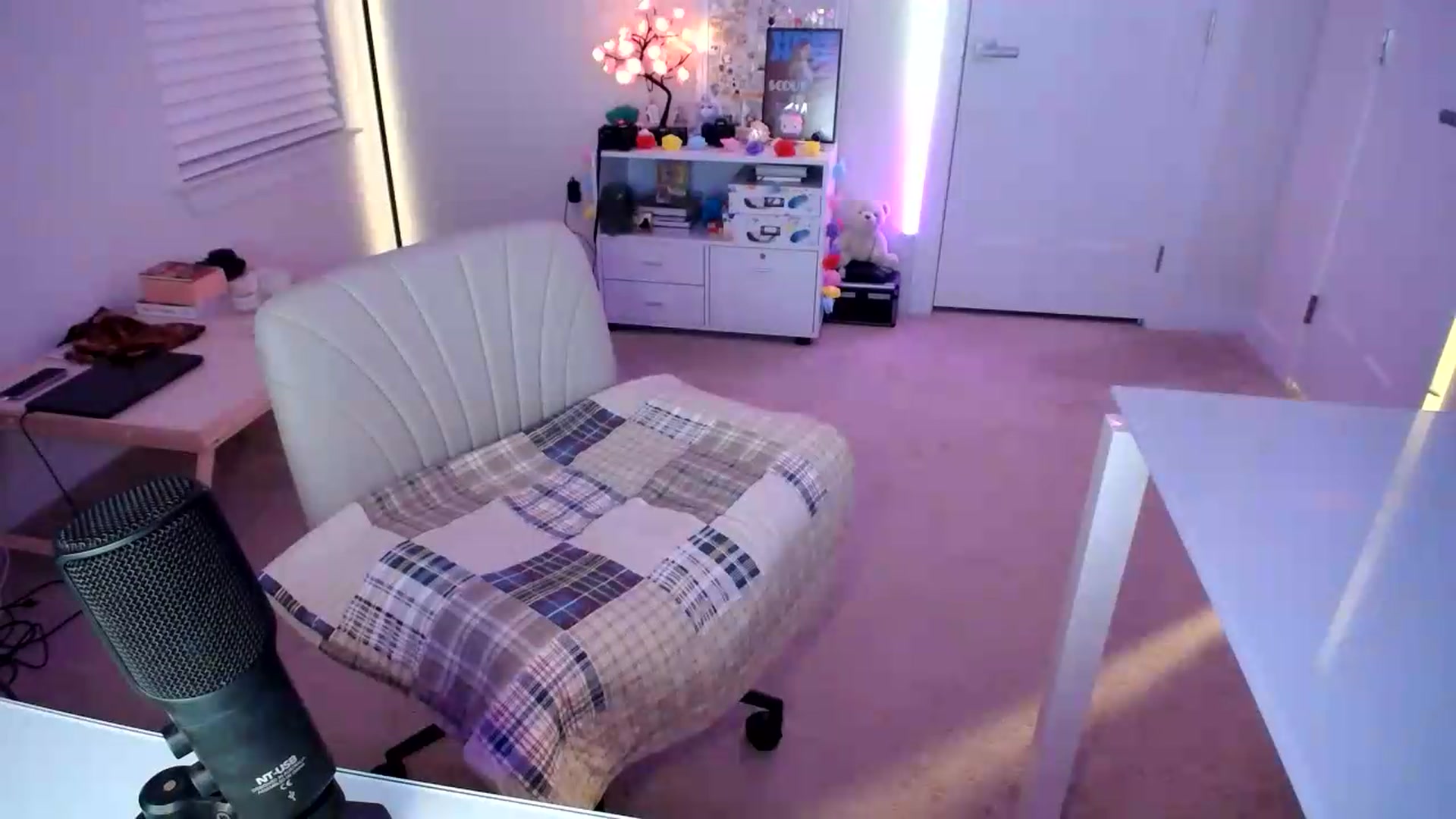 Gallery image thumbnail from Scout's myfreecams stream on, 07/30/2026, 02:15 image 13 of 20