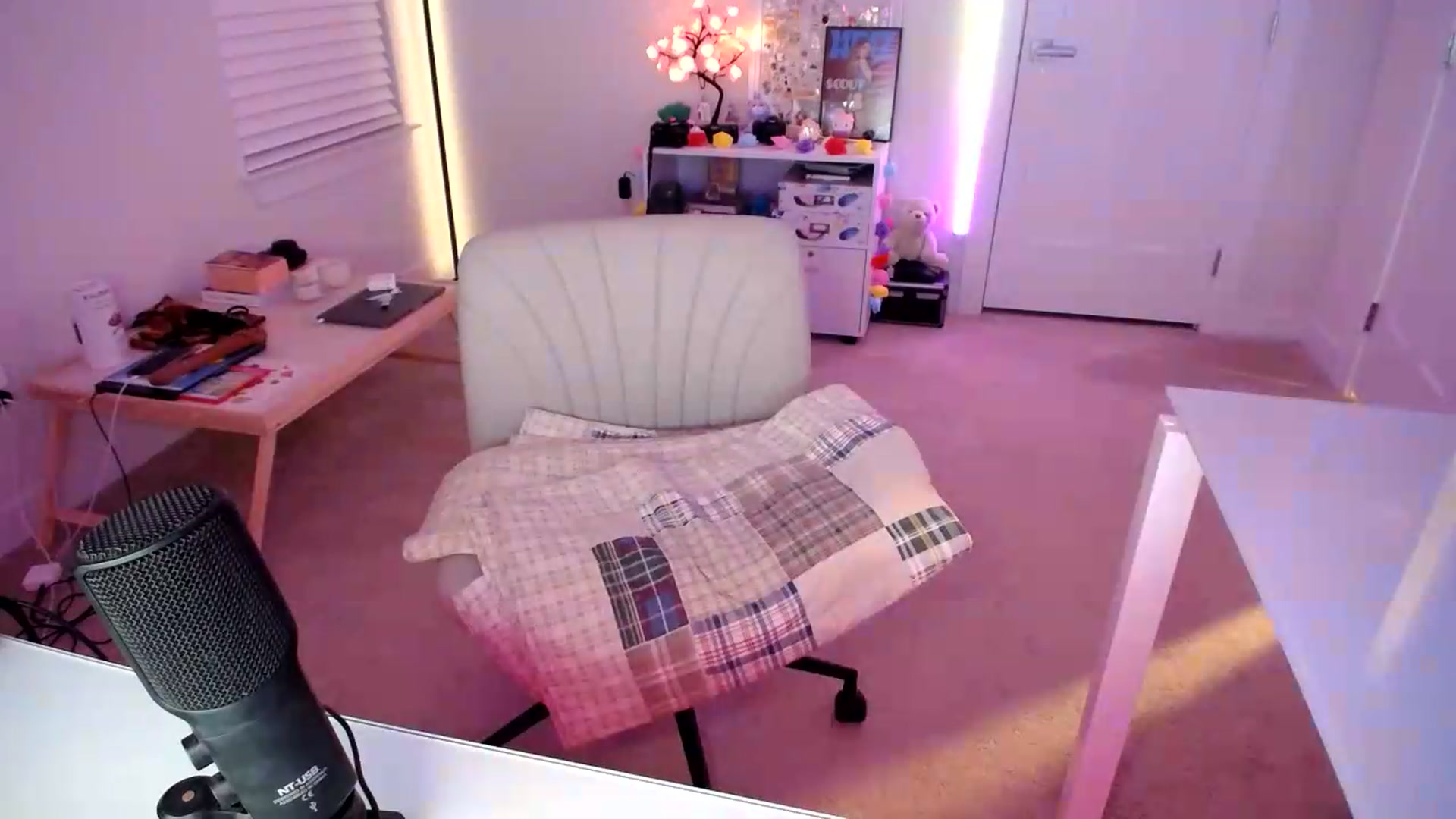 Gallery image thumbnail from Scout's myfreecams stream on, 08/13/2026, 02:28 image 13 of 20