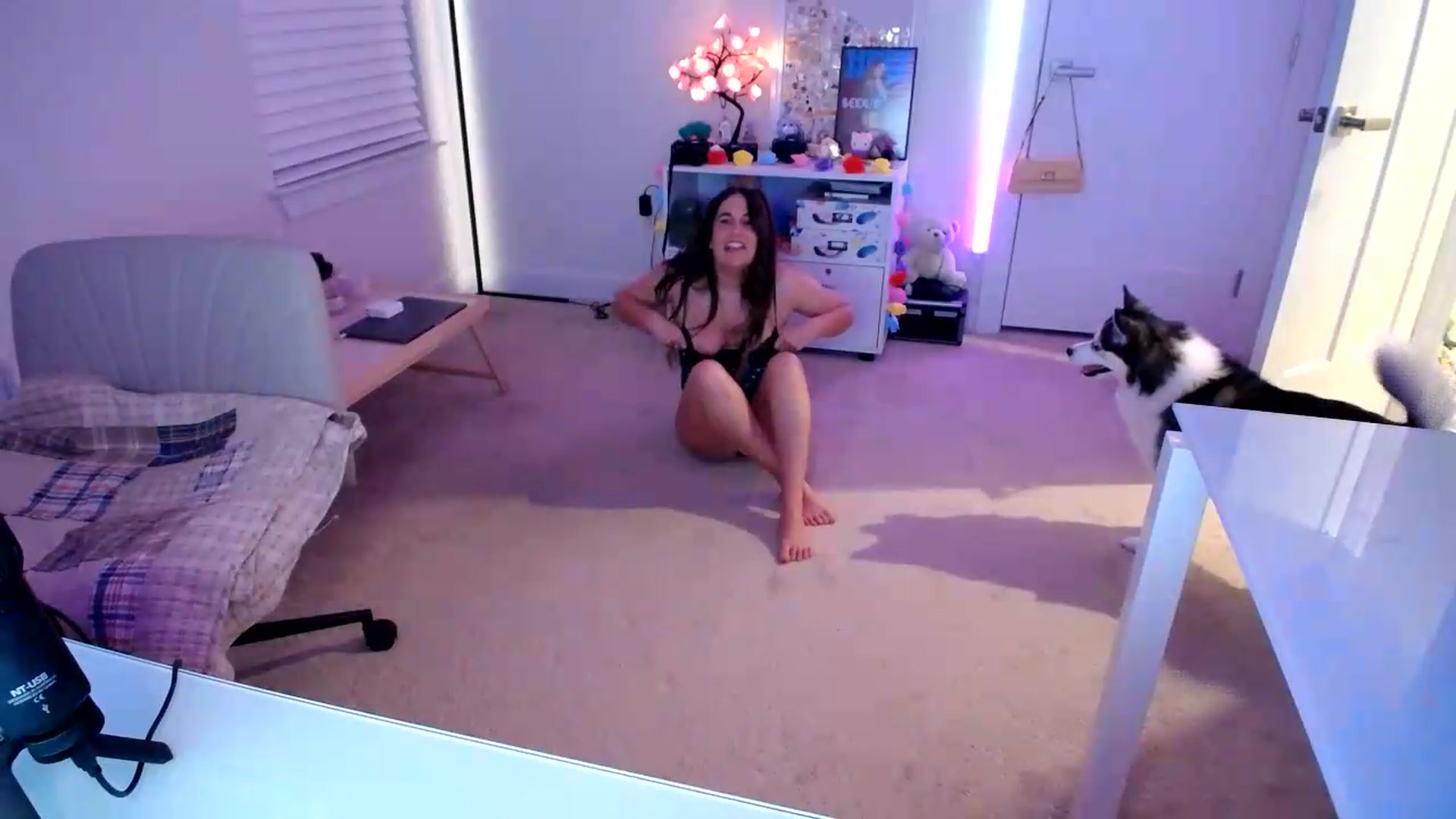 Gallery image thumbnail from Scout's myfreecams stream on, 09/01/2026, 02:19 image 15 of 20