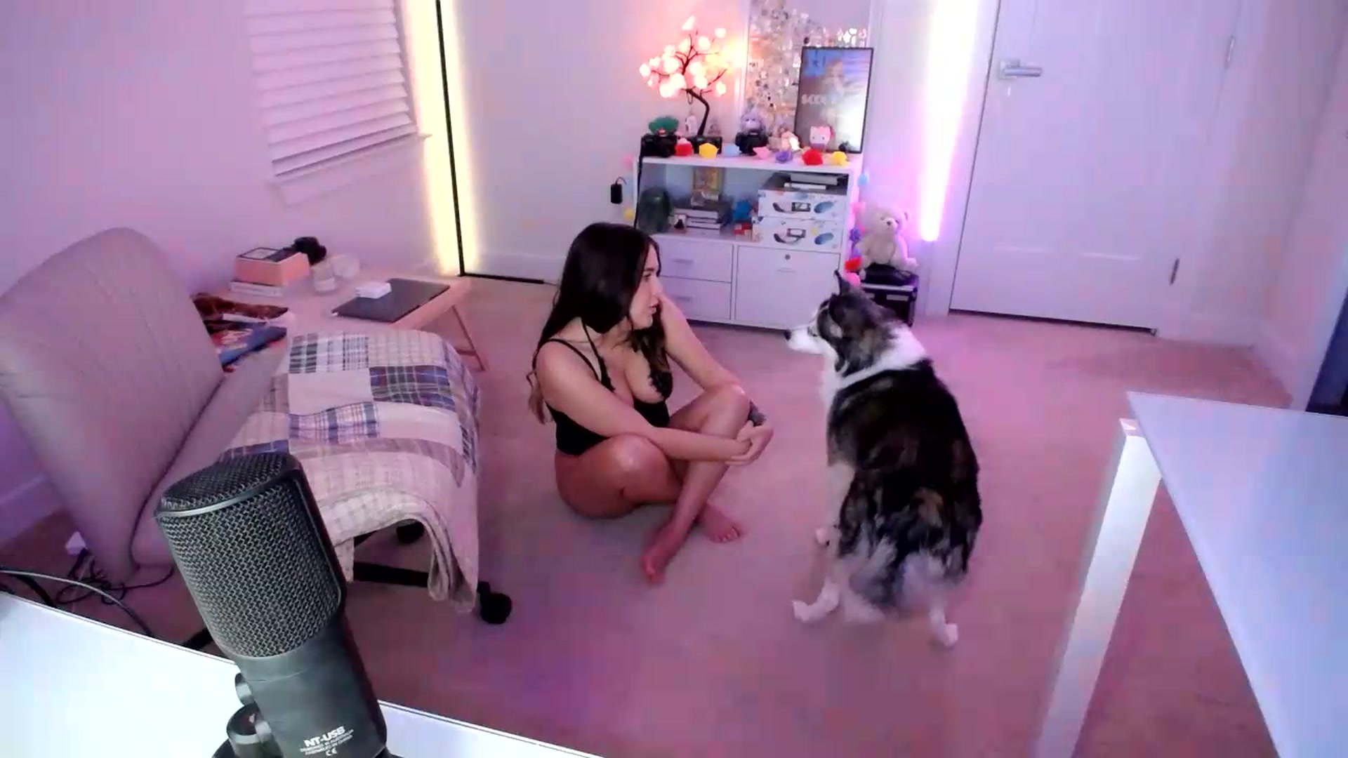 Gallery image thumbnail from Scout's myfreecams stream on, 09/06/2026, 02:29 image 14 of 20