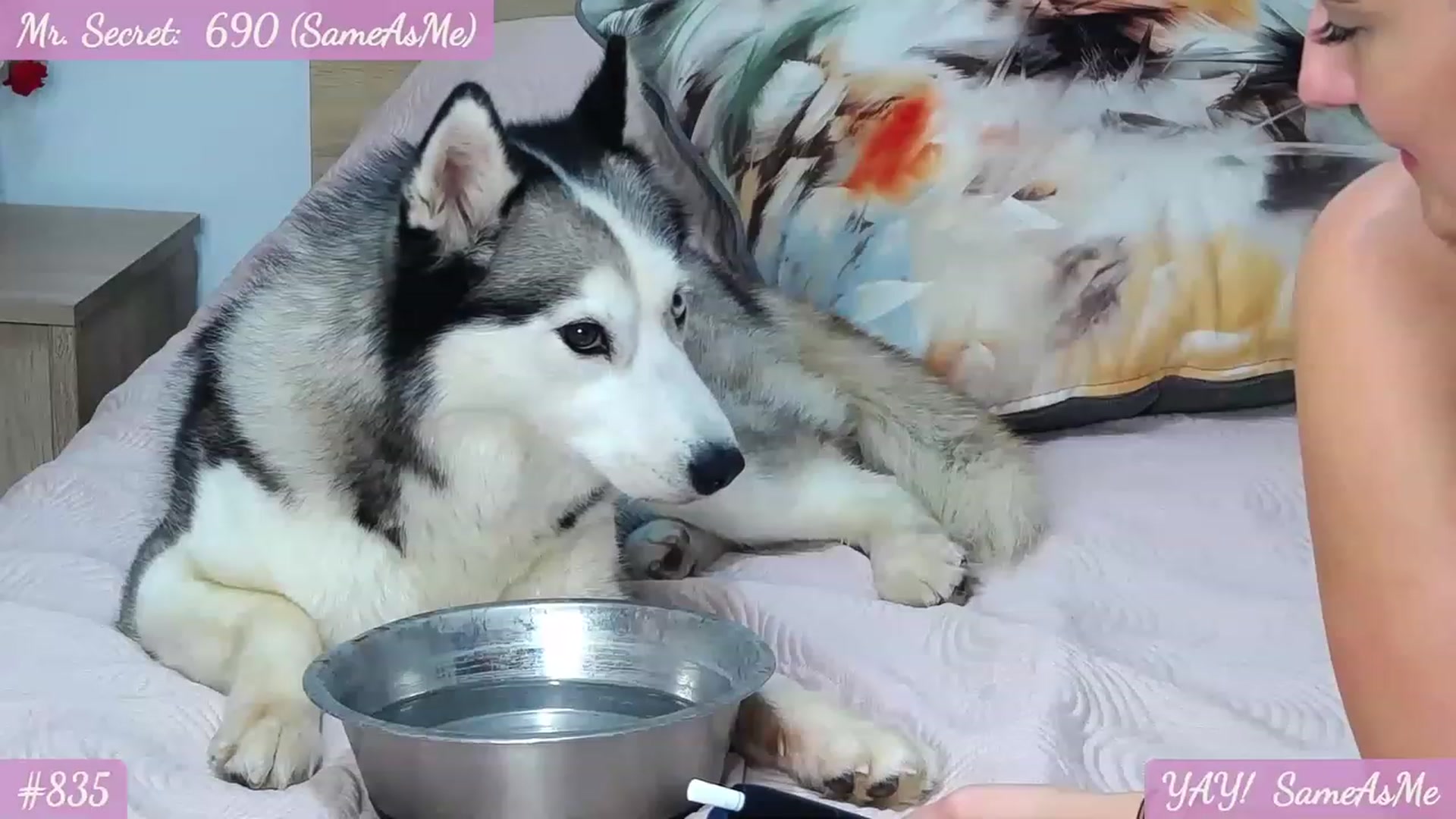Gallery image thumbnail from SecretAmber's myfreecams stream on, 07/12/2023, 18:26 image 16 of 20