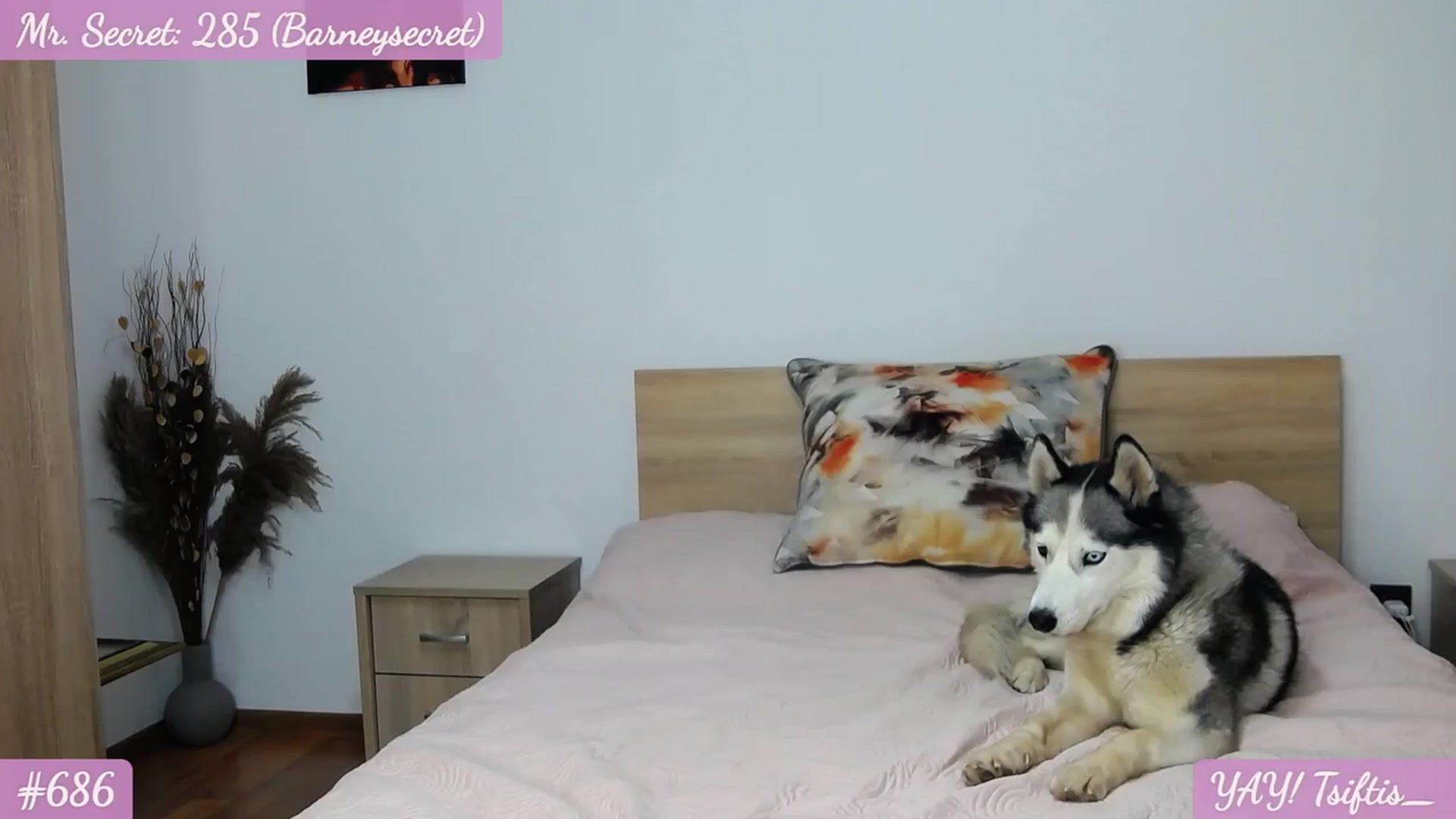 Gallery image thumbnail from SecretAmber's myfreecams stream on, 09/01/2023, 14:56 image 20 of 20