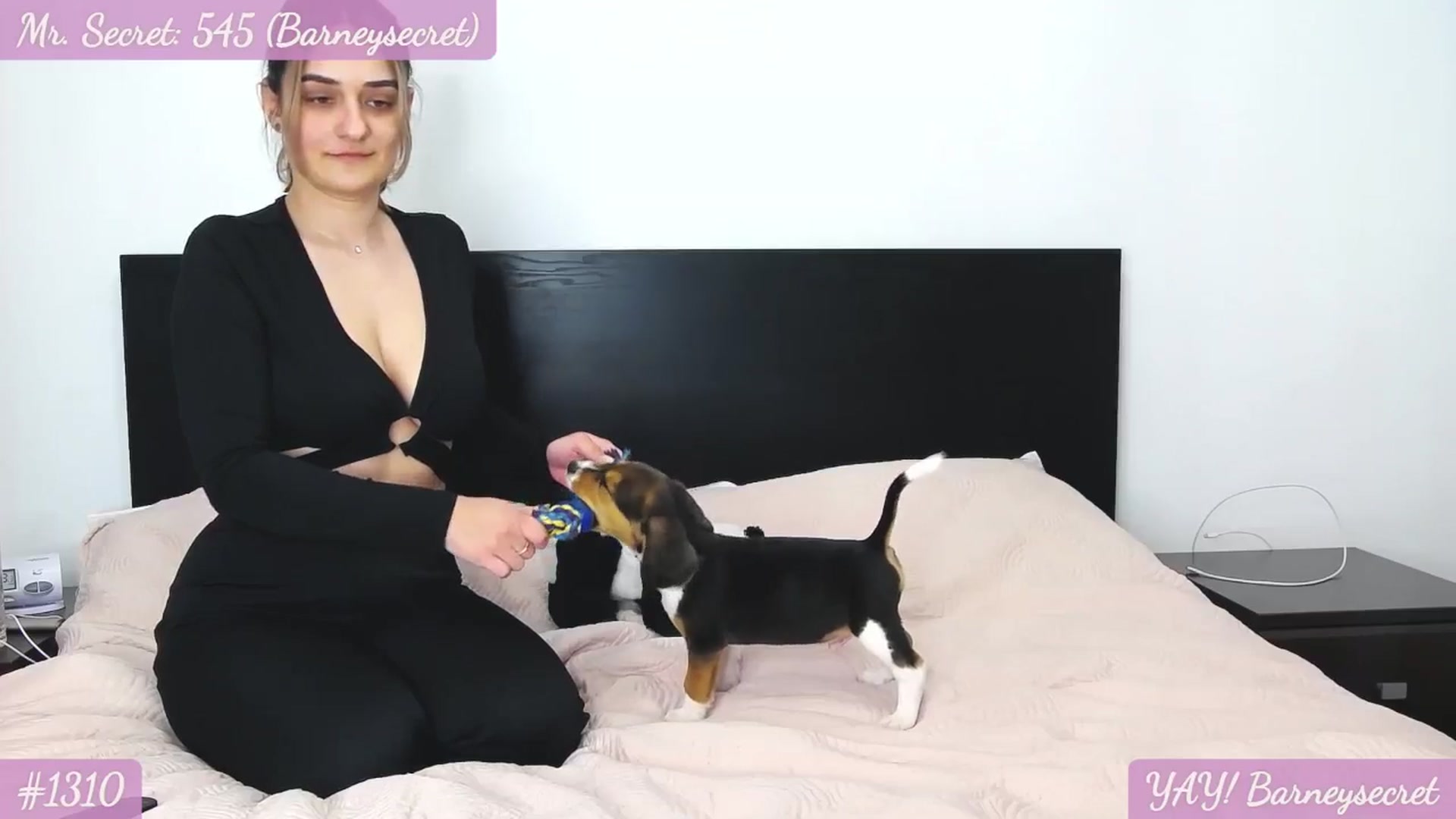 Gallery image thumbnail from SecretAmber's myfreecams stream on, 05/12/2024, 15:47 image 17 of 20