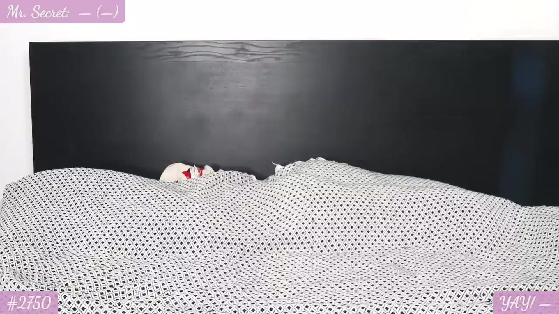 Gallery image thumbnail from SecretAmber's myfreecams stream on, 06/15/2024, 16:45 image 14 of 20