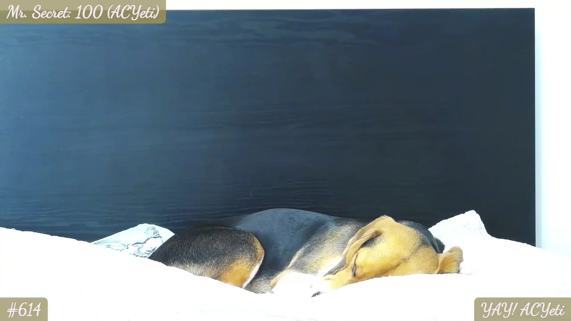 Gallery image thumbnail from SecretAmber's myfreecams stream on, 12/30/2024, 17:43 image 3 of 20