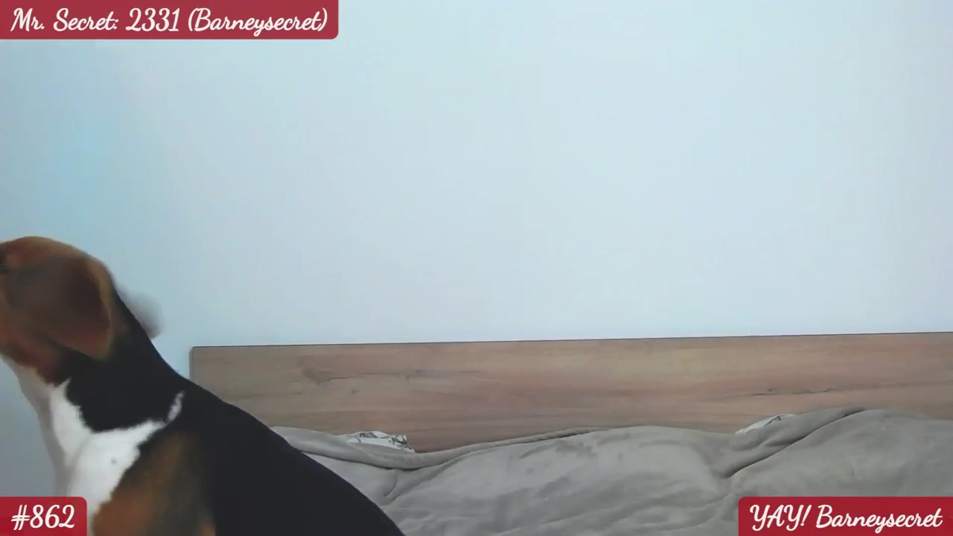 Gallery image thumbnail from SecretAmber's myfreecams stream on, 01/17/2026, 17:28 image 11 of 20