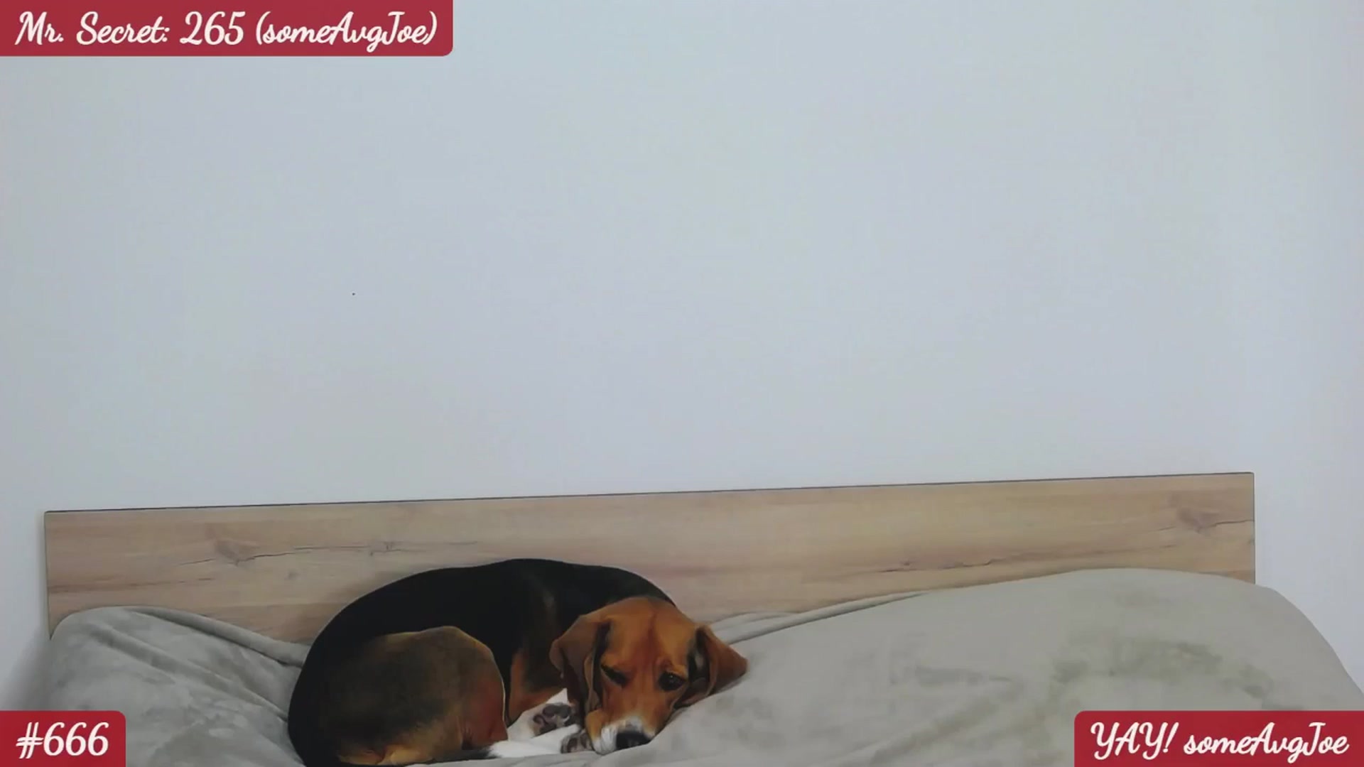 Gallery image thumbnail from SecretAmber's myfreecams stream on, 02/28/2026, 17:48 image 12 of 20