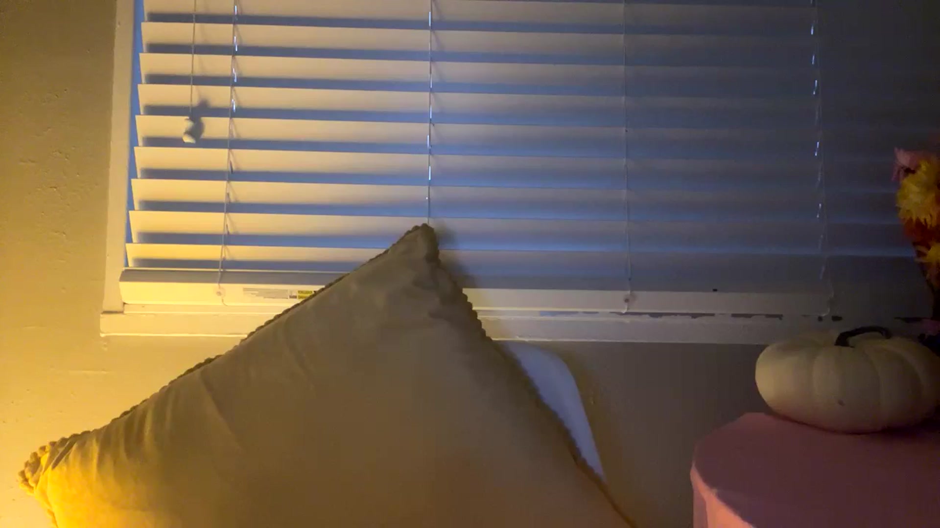Gallery image thumbnail from Seductress's myfreecams stream on, 11/19/2024, 13:44 image 5 of 20