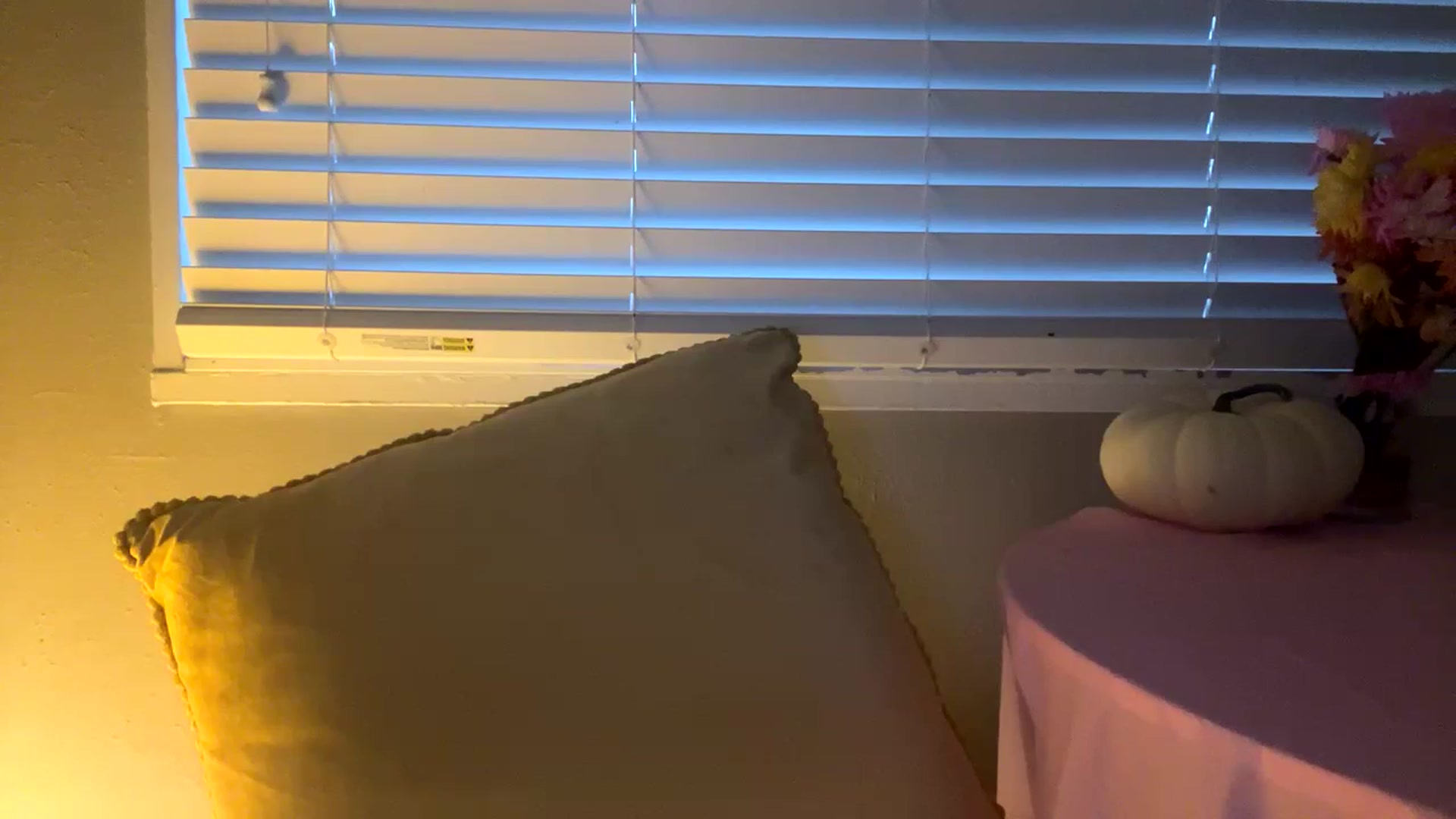 Gallery image thumbnail from Seductress's myfreecams stream on, 11/19/2024, 13:44 image 15 of 20