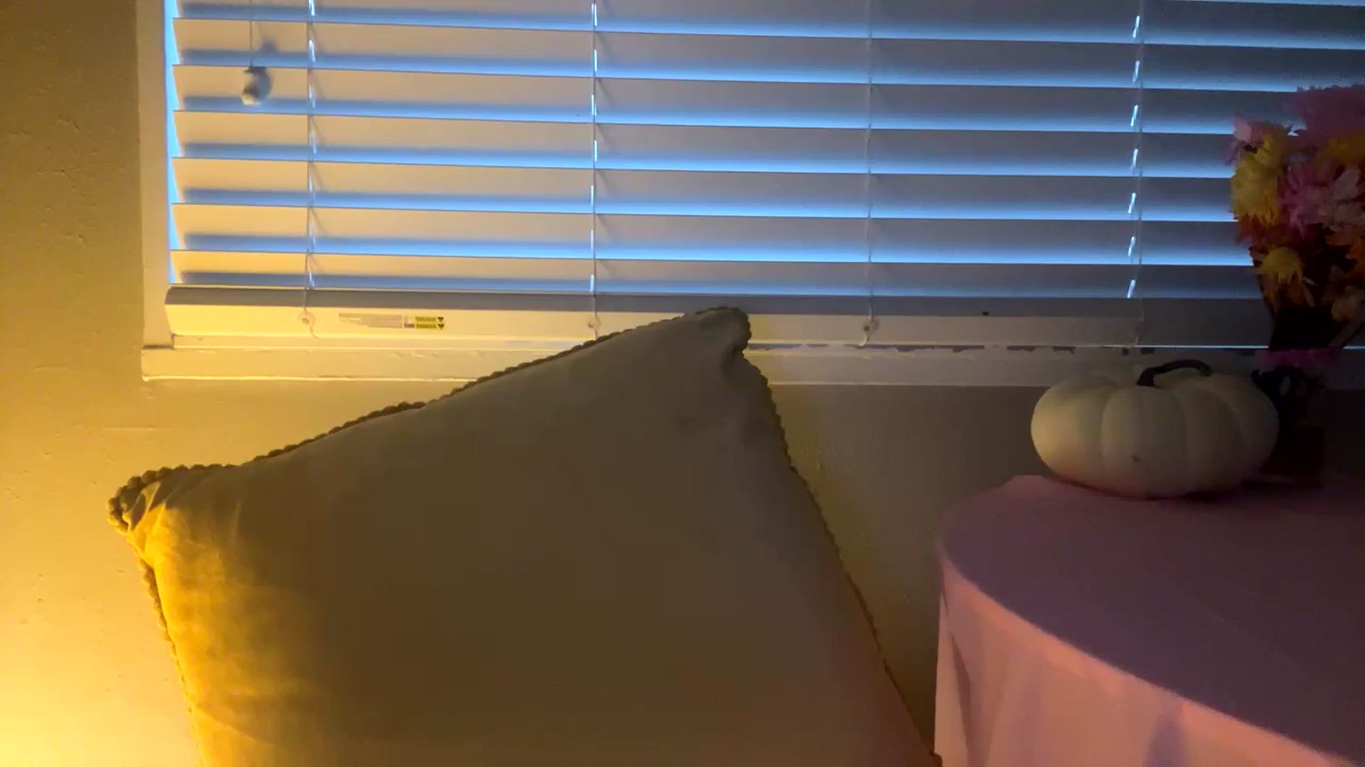 Gallery image thumbnail from Seductress's myfreecams stream on, 11/19/2024, 13:44 image 16 of 20