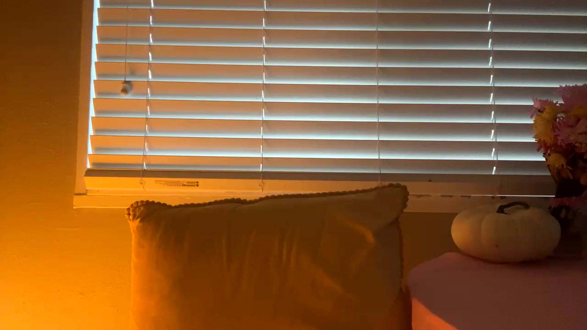Gallery image thumbnail from Seductress's myfreecams stream on, 11/19/2024, 14:03 image 5 of 20