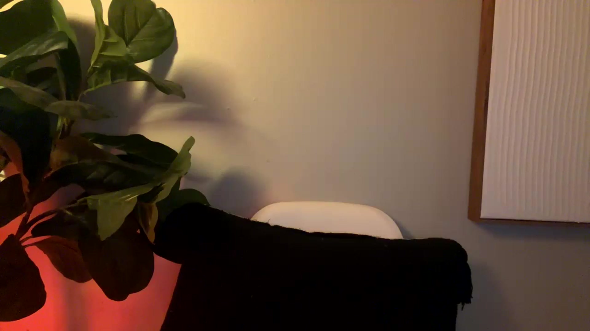 Gallery image thumbnail from Seductress's myfreecams stream on, 12/07/2024, 23:01 image 6 of 20
