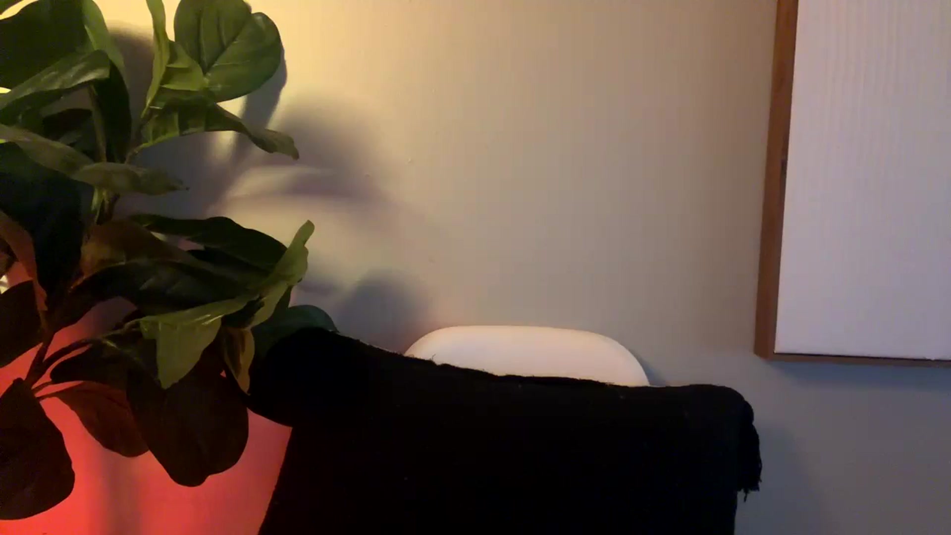 Gallery image thumbnail from Seductress's myfreecams stream on, 12/07/2024, 23:01 image 8 of 20