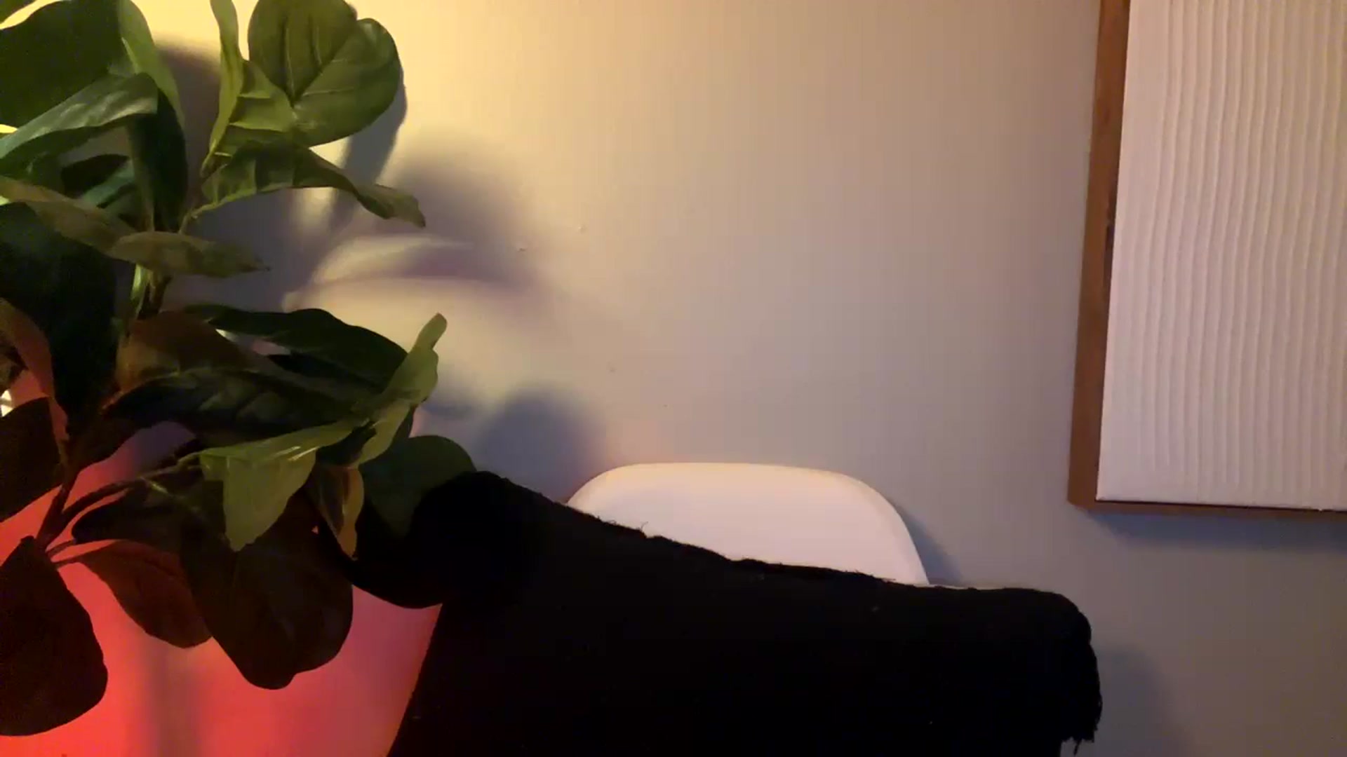 Gallery image thumbnail from Seductress's myfreecams stream on, 12/07/2024, 23:01 image 12 of 20