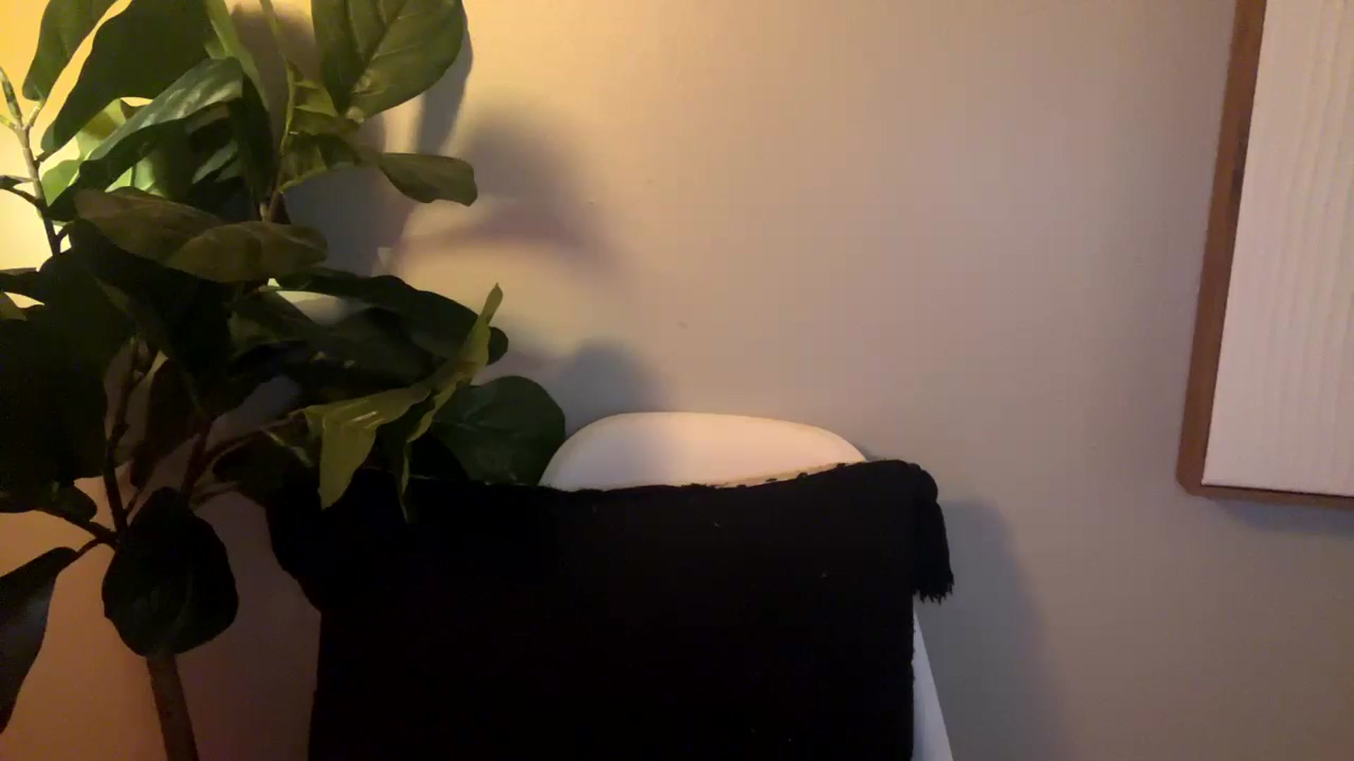 Gallery image thumbnail from Seductress's myfreecams stream on, 12/08/2024, 21:37 image 11 of 20