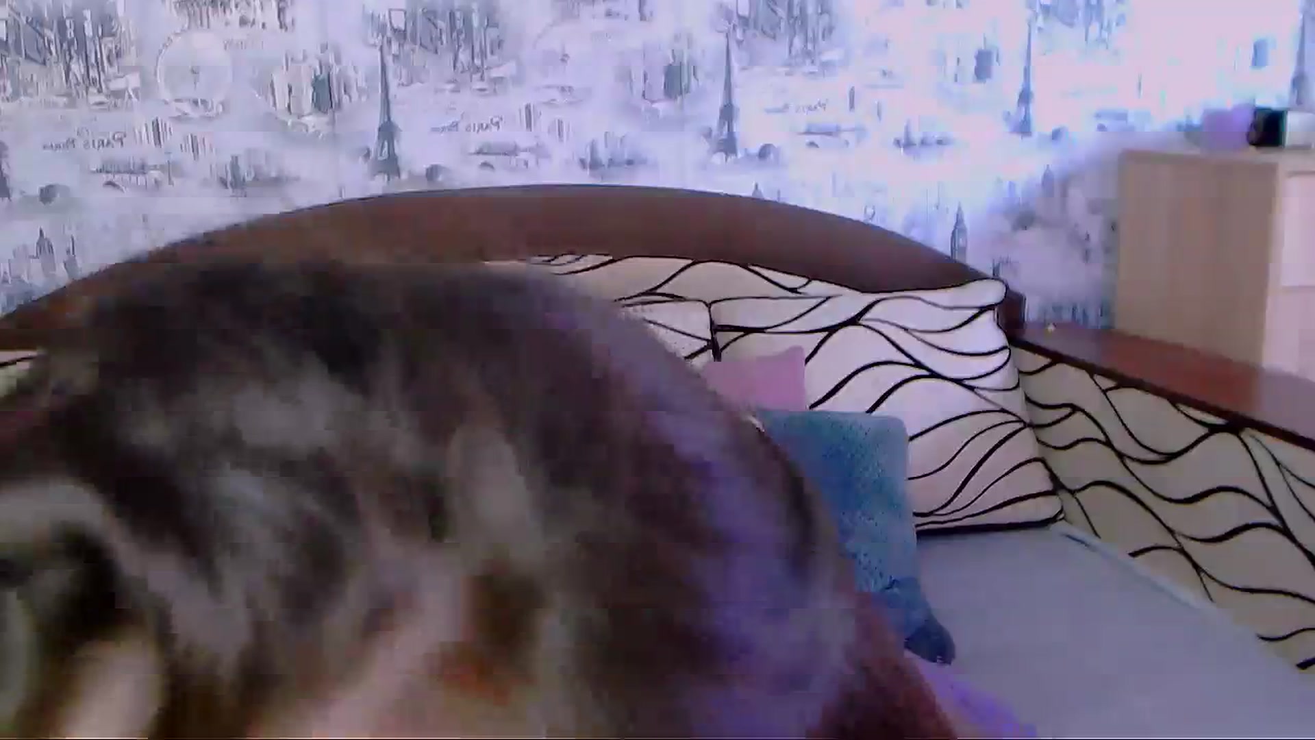 Gallery image thumbnail from SelenaLo's myfreecams stream on, 08/25/2023, 10:43 image 11 of 20