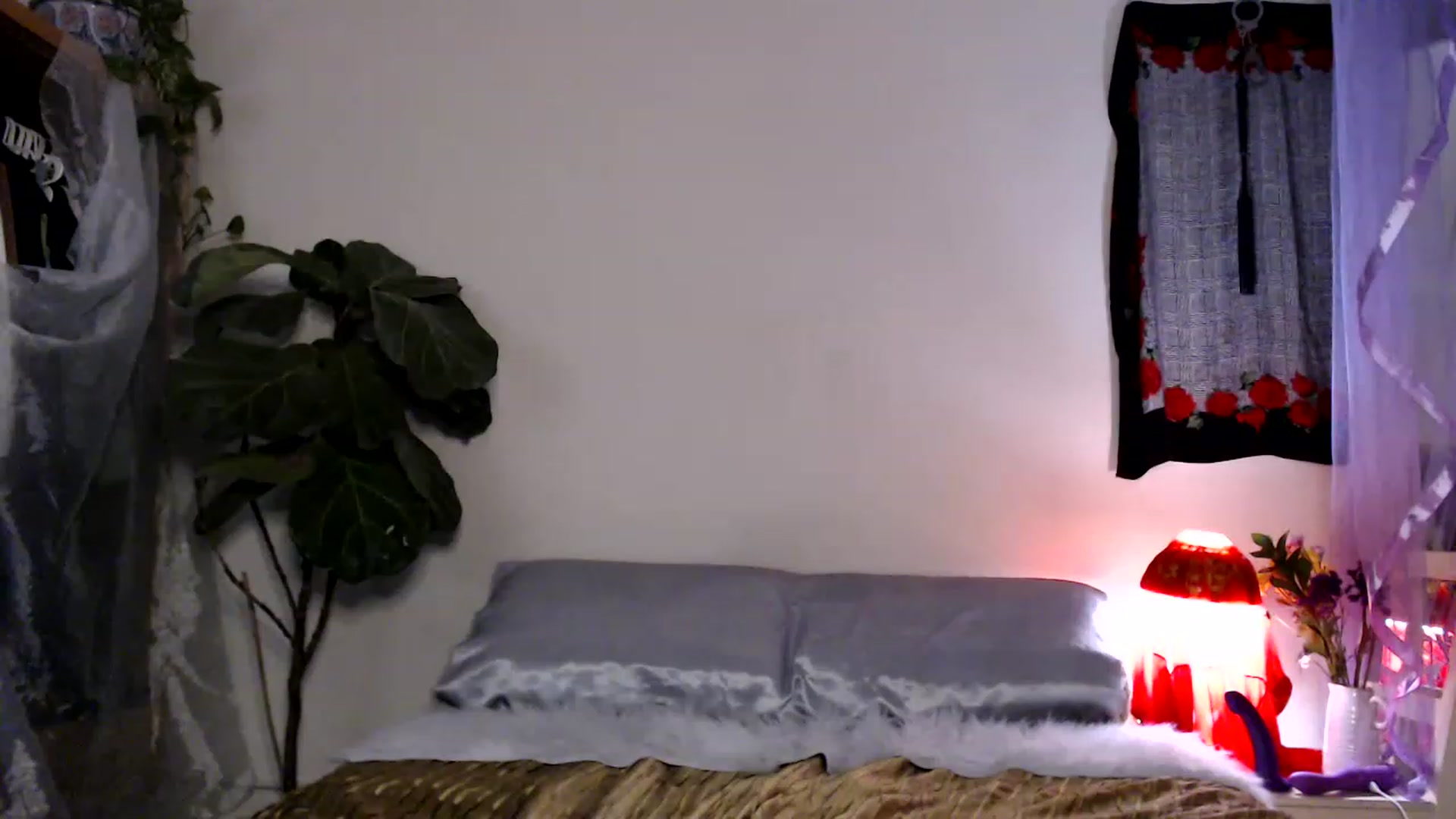 Gallery image thumbnail from SeleneCitrine's myfreecams stream on, 12/19/2022, 13:27 image 10 of 20