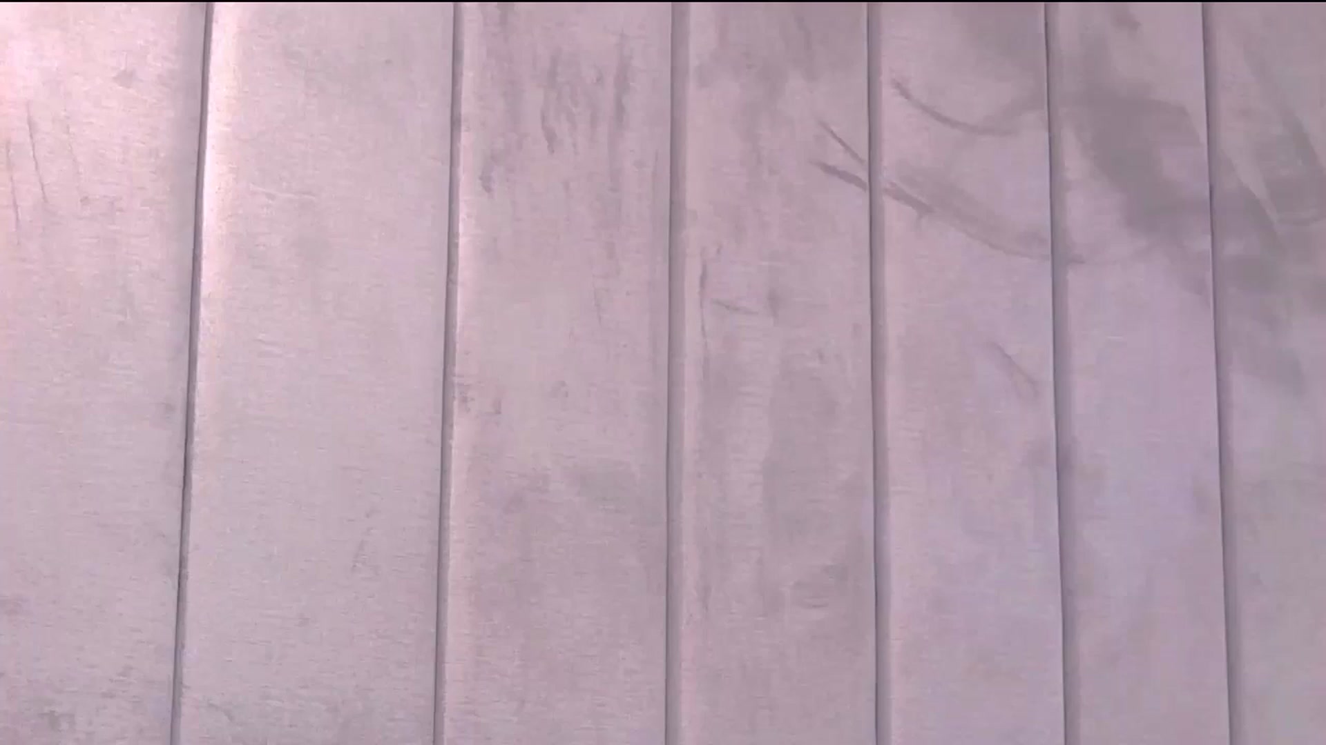 Gallery image thumbnail from Selenita007's myfreecams stream on, 06/25/2025, 10:13 image 17 of 20