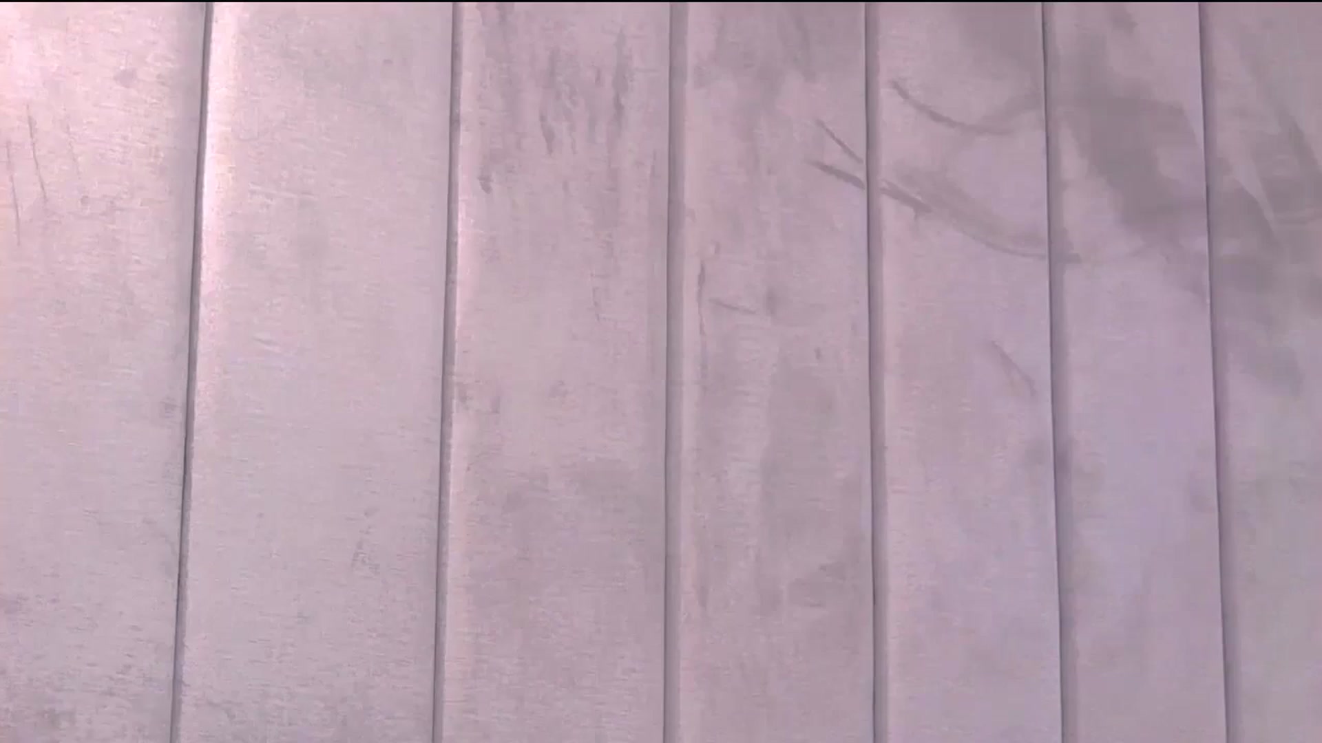 Gallery image thumbnail from Selenita007's myfreecams stream on, 06/25/2025, 10:13 image 19 of 20