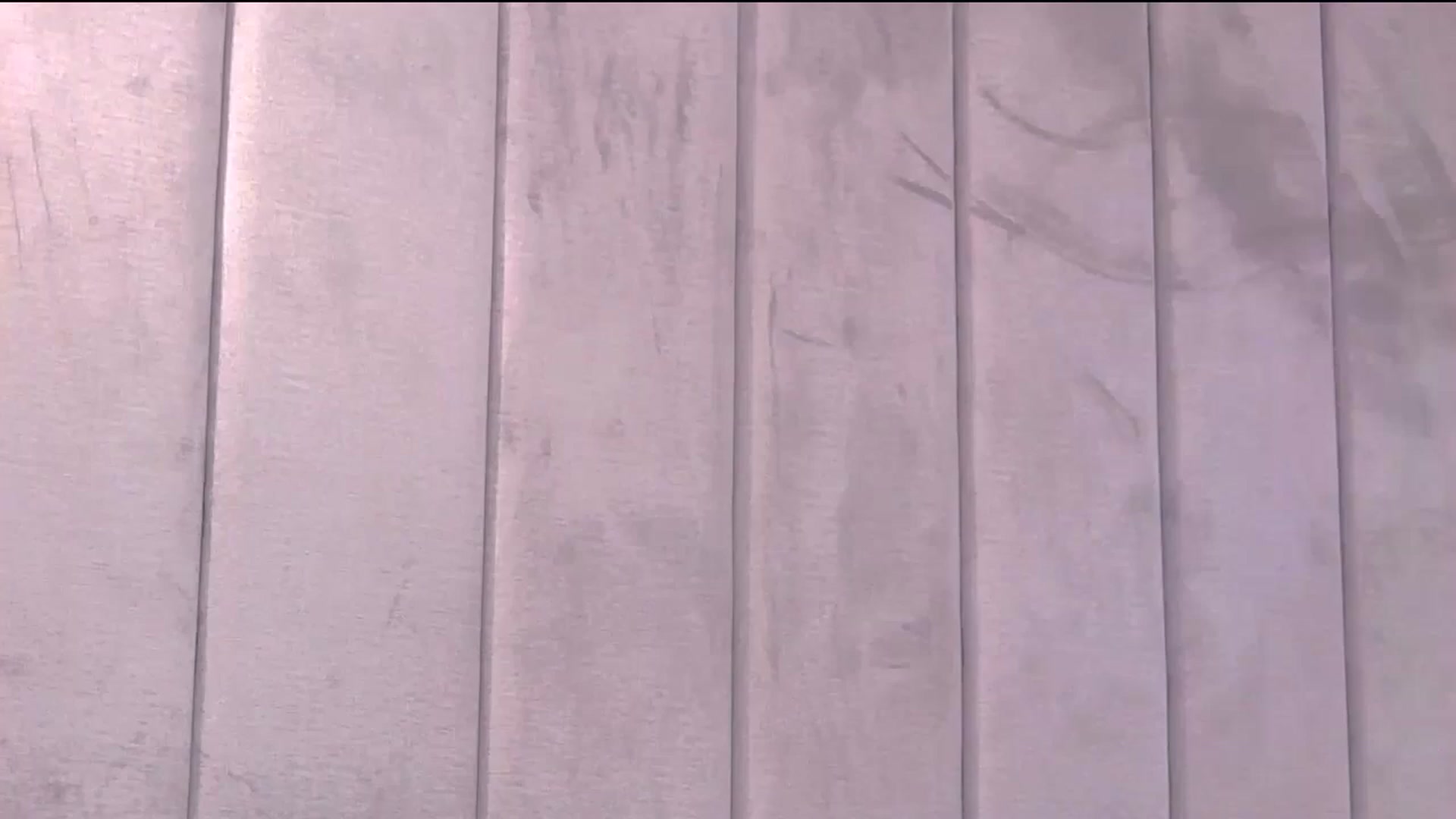 Gallery image thumbnail from Selenita007's myfreecams stream on, 06/25/2025, 10:13 image 18 of 20