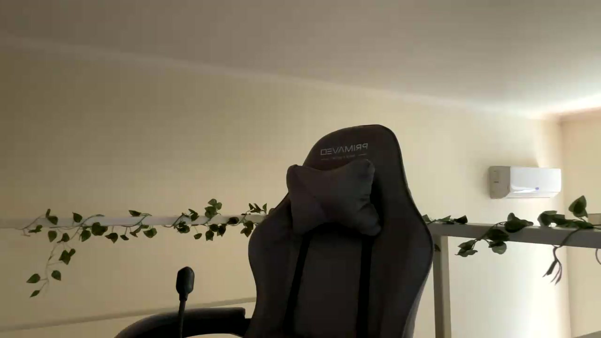 Gallery image thumbnail from SelinaMynx's myfreecams stream on, 06/29/2026, 10:18 image 2 of 20