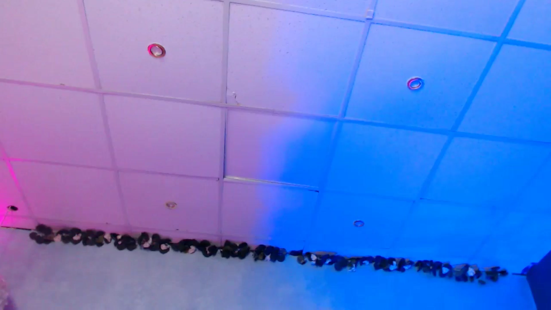 Gallery image thumbnail from SellenaCarter's myfreecams stream on, 02/09/2025, 14:02 image 16 of 20